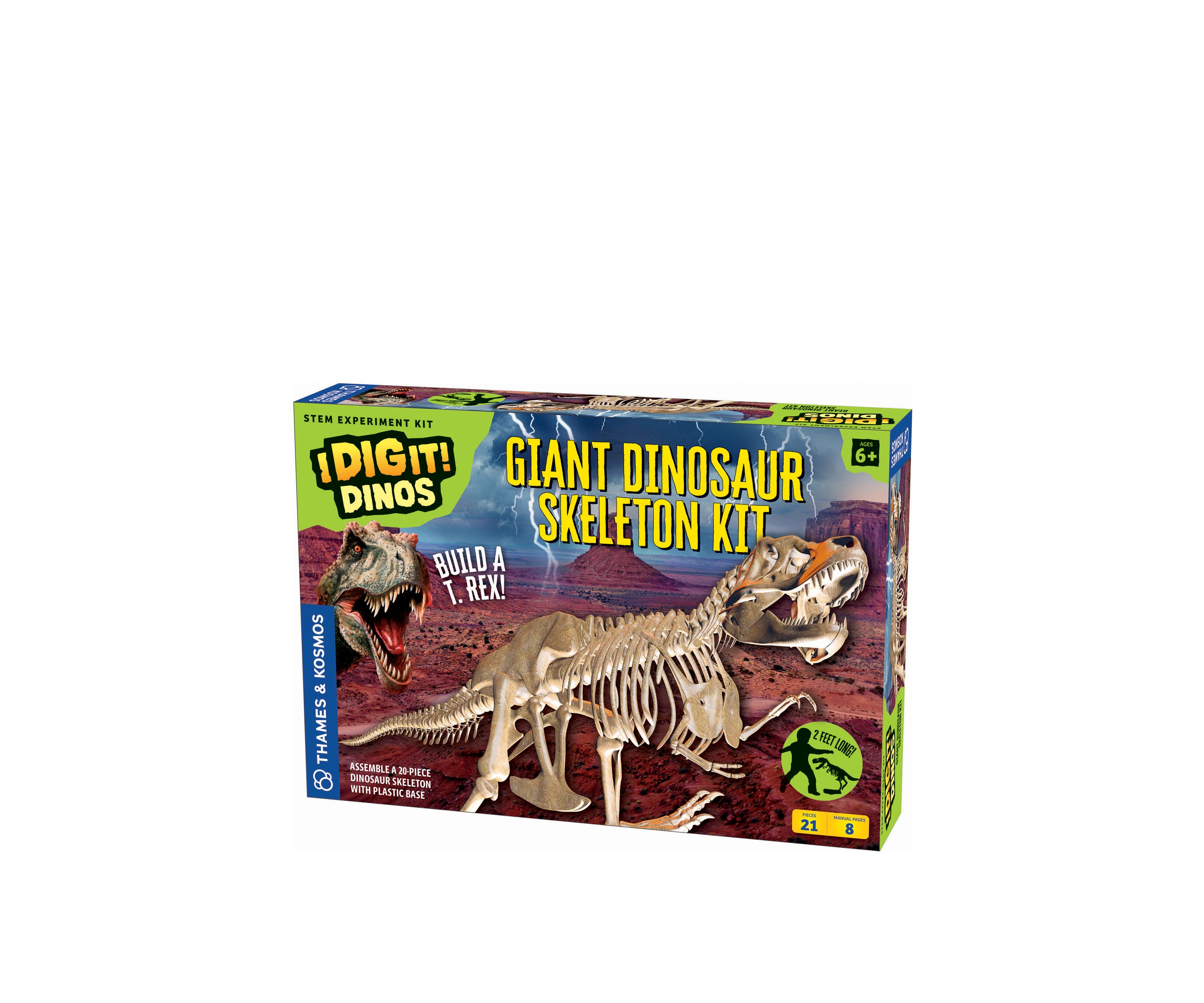 Giant Dinosaur Skeleton Kit