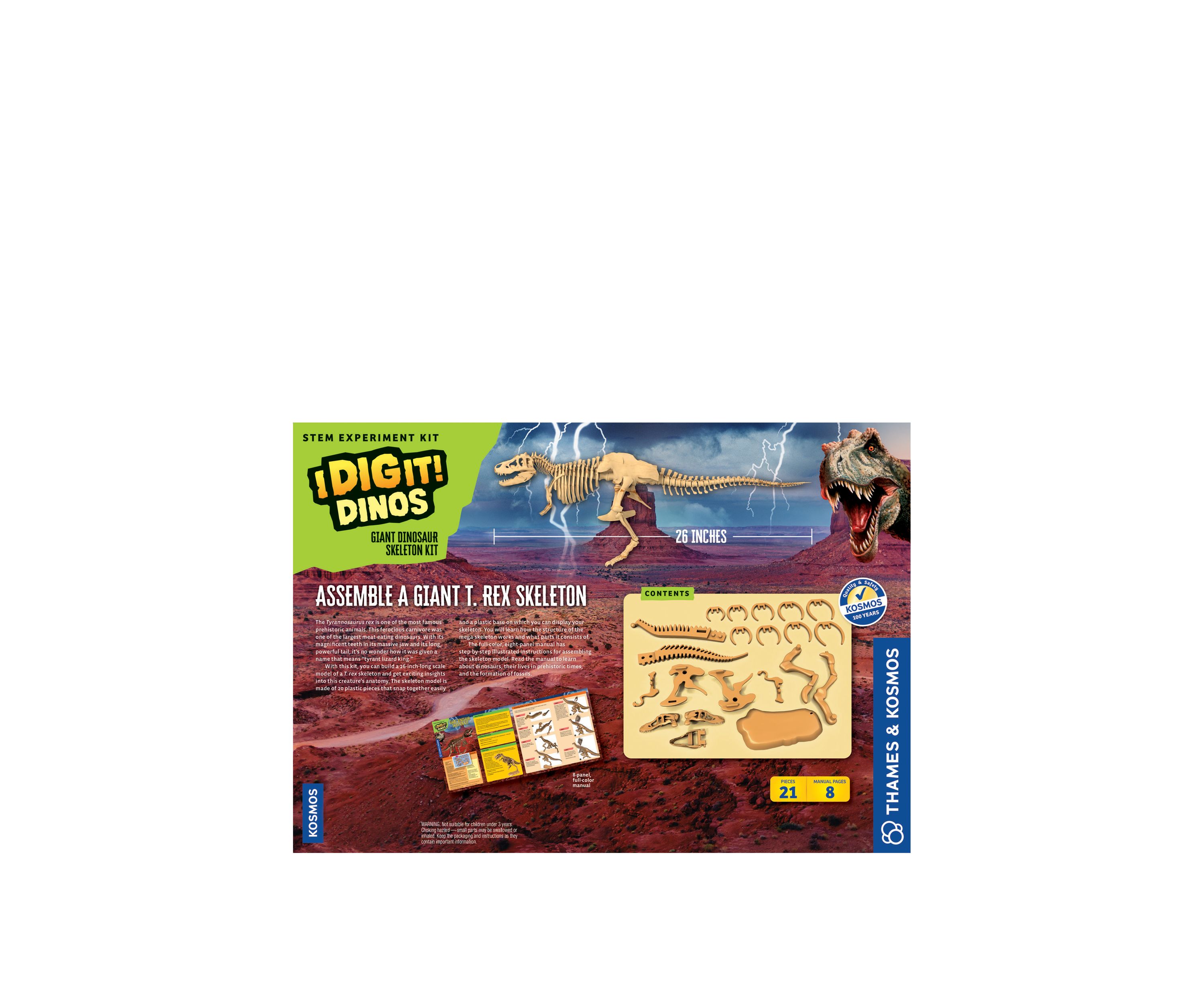 Giant Dinosaur Skeleton Kit