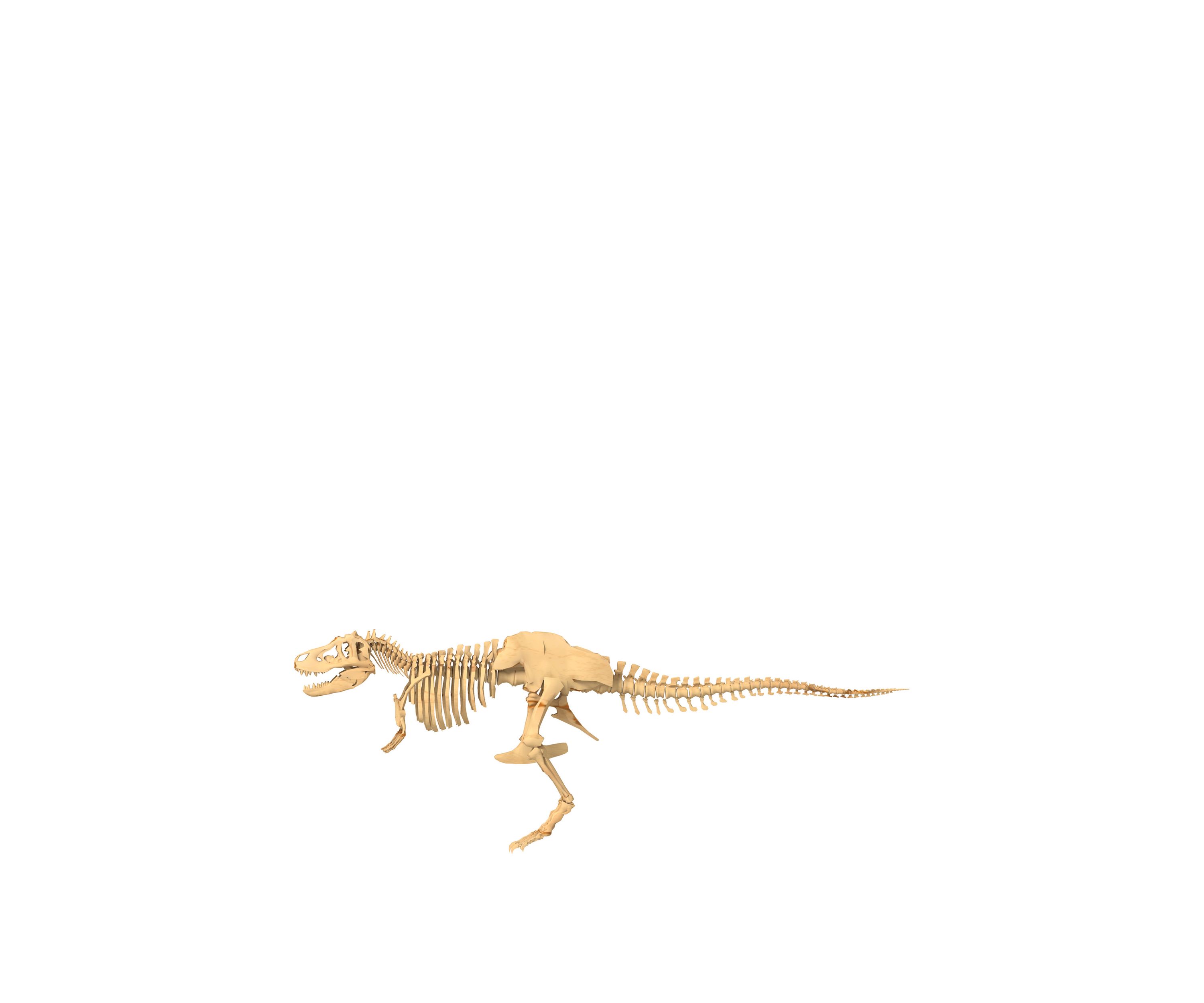 Giant Dinosaur Skeleton Kit