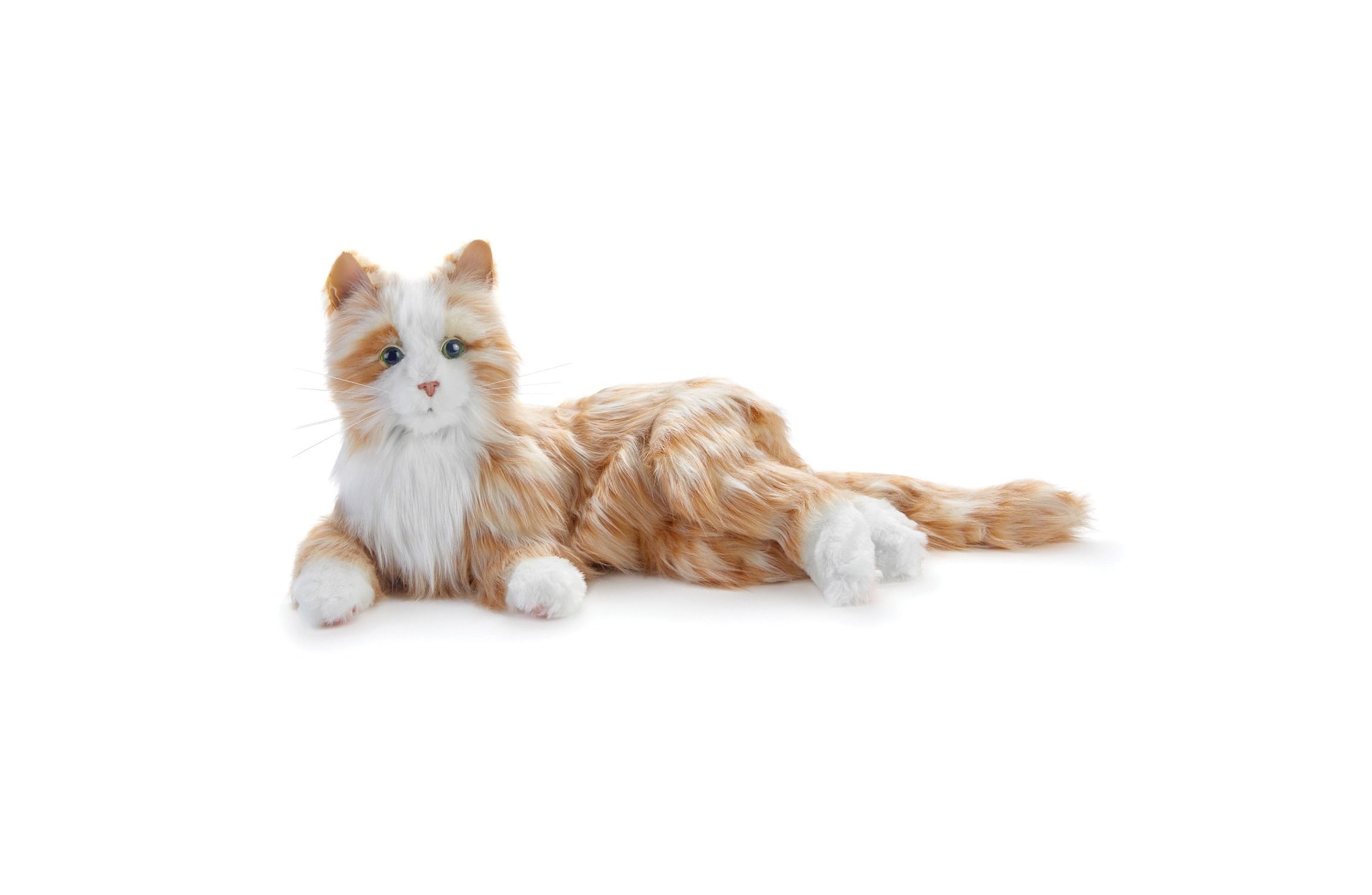 Companion Pet (Orange Tabby Cat)