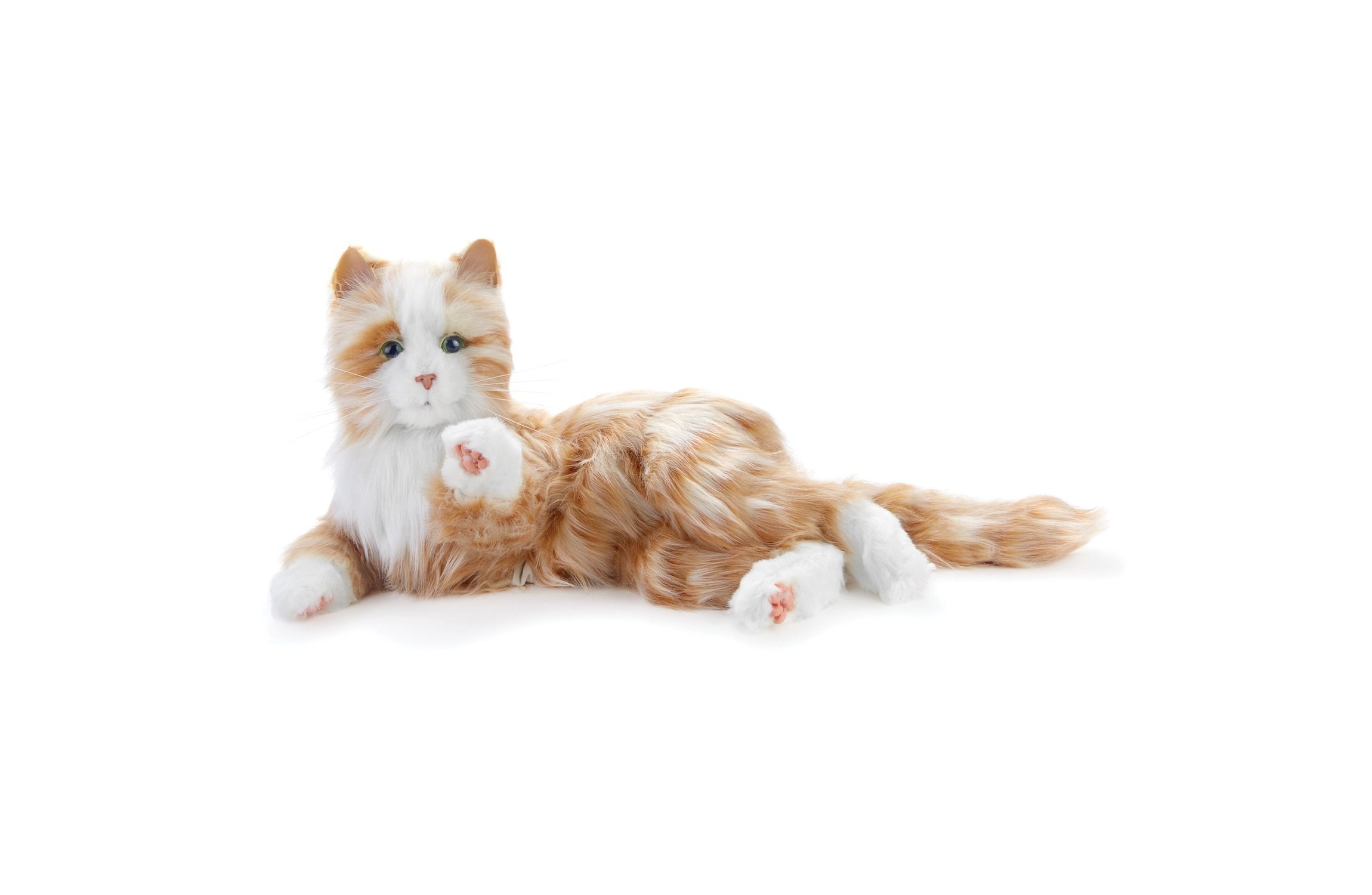Companion Pet (Orange Tabby Cat)
