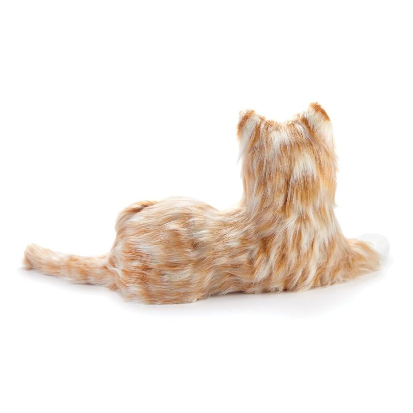 Companion Pet (Orange Tabby Cat)