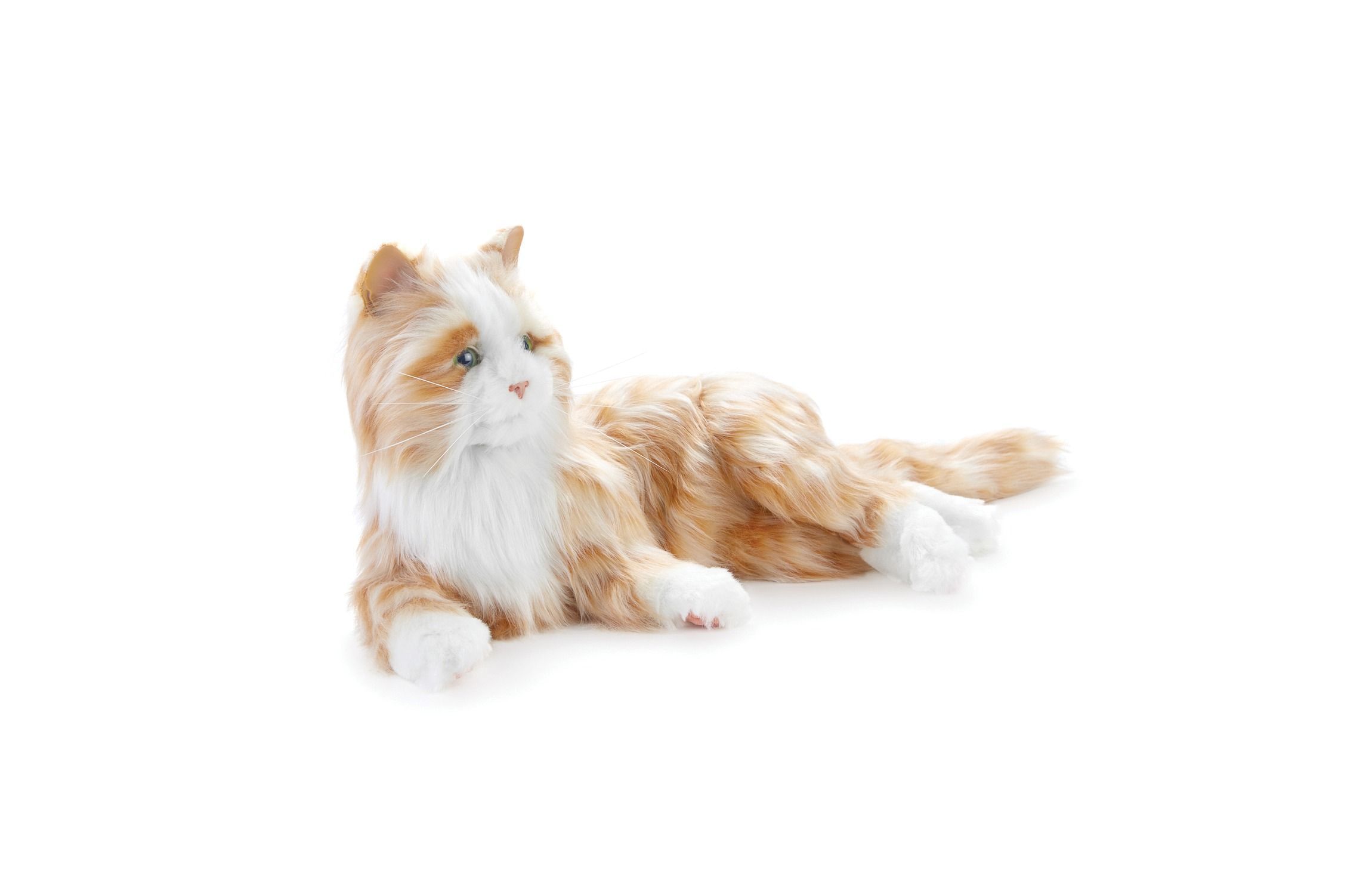 Companion Pet (Orange Tabby Cat)