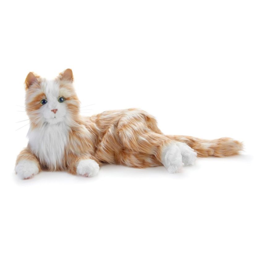Companion Pet (Orange Tabby Cat)