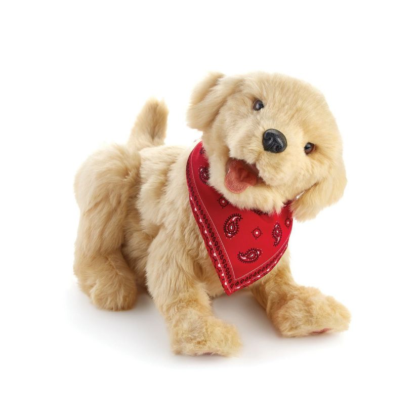 Companion Pet (Golden Pup)