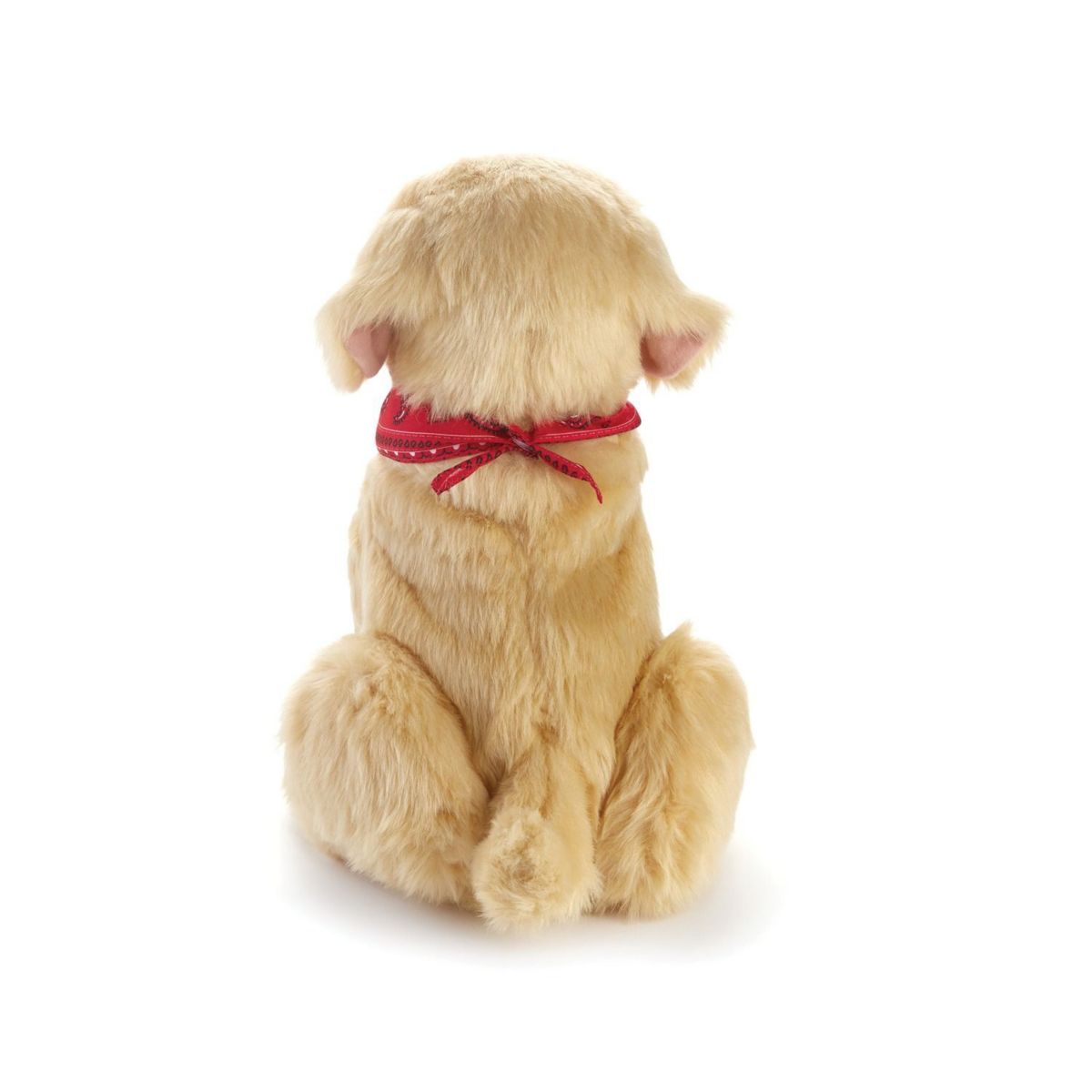 Companion Pet (Golden Pup)