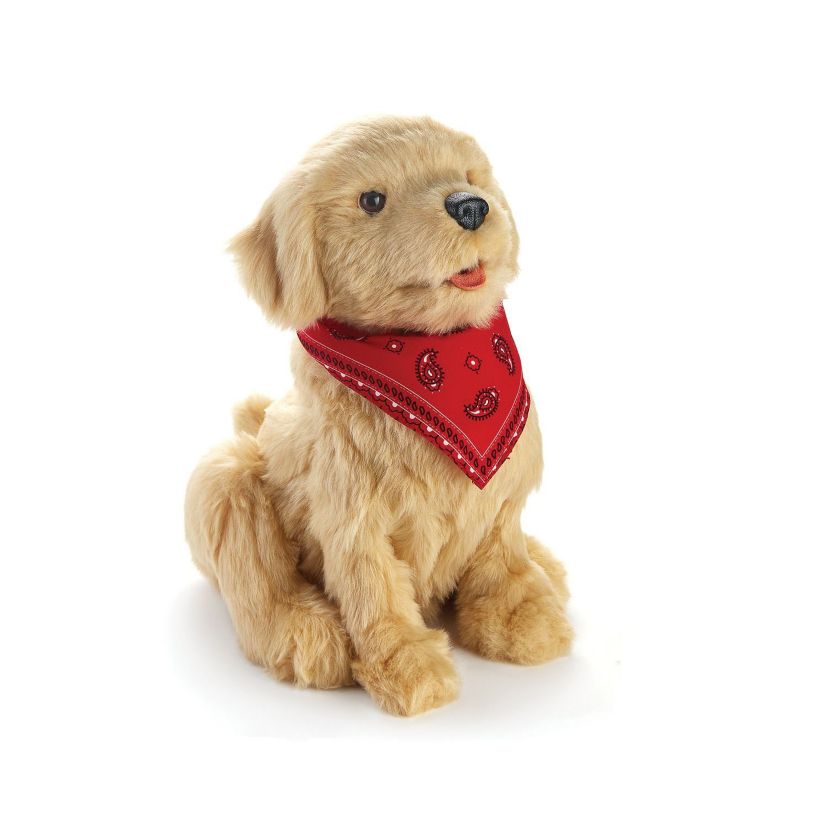 Companion Pet (Golden Pup)