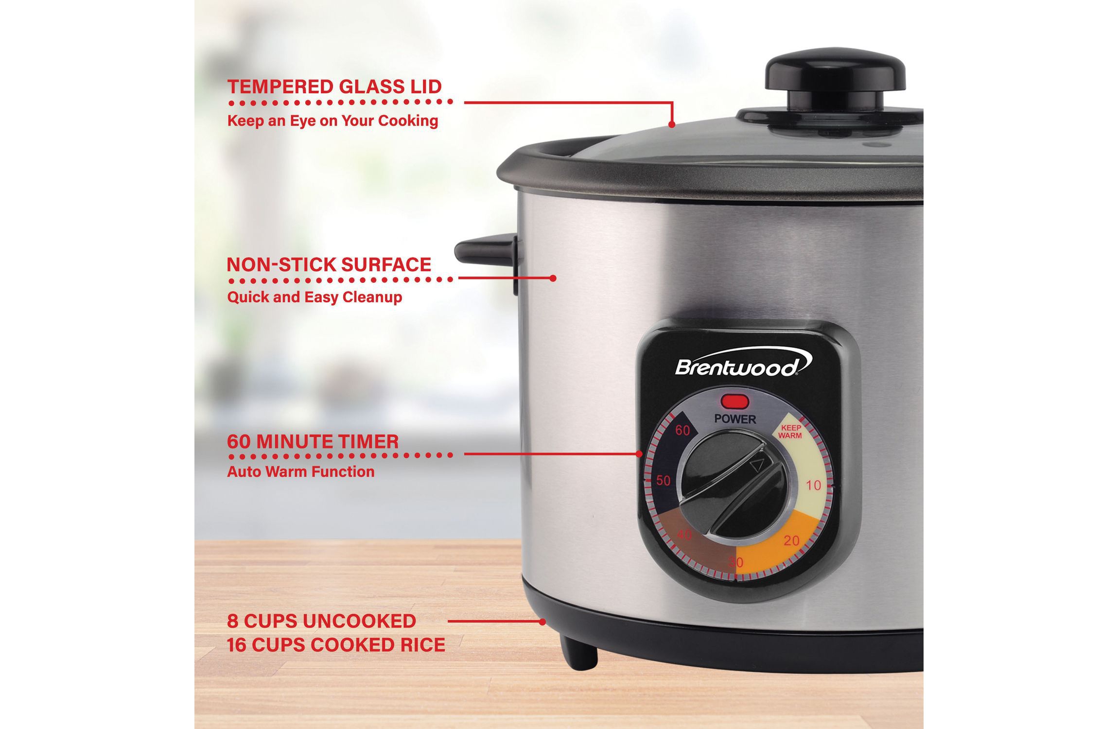 Stainless Steel Crunchy Persian Rice Cooker (16 Cups Cooked, 500 Watts)