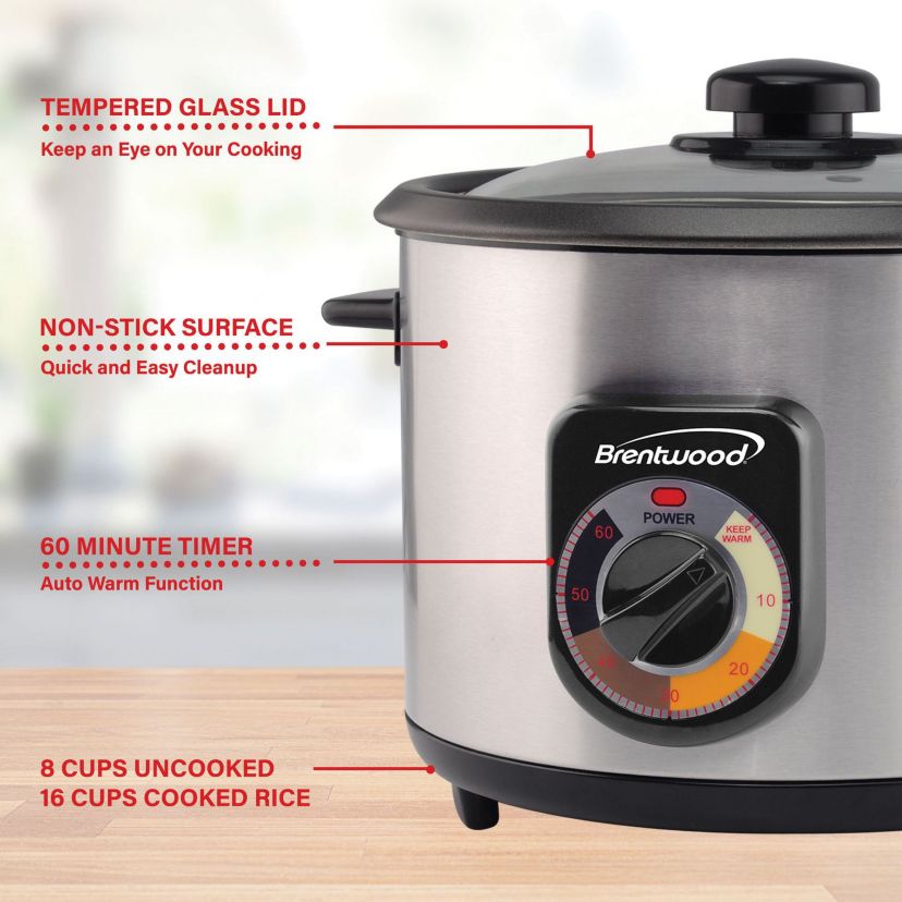 Stainless Steel Crunchy Persian Rice Cooker (16 Cups Cooked, 500 Watts)