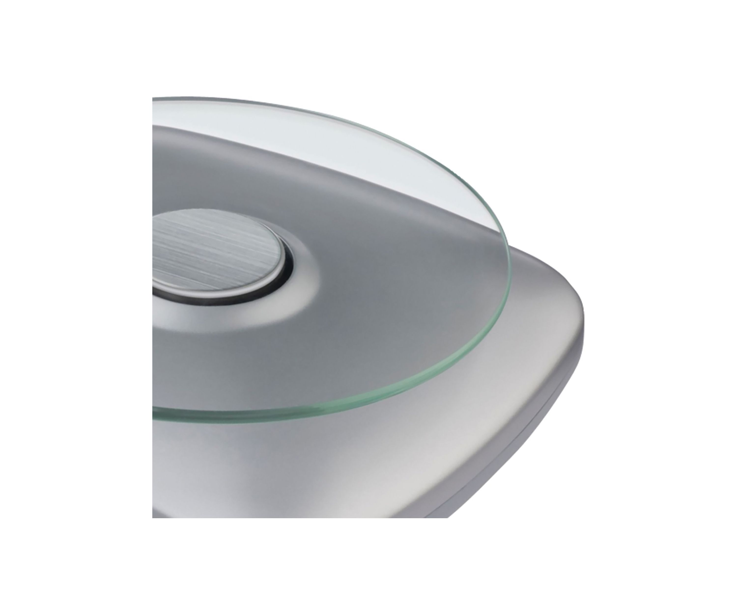 Digital Food Scale
