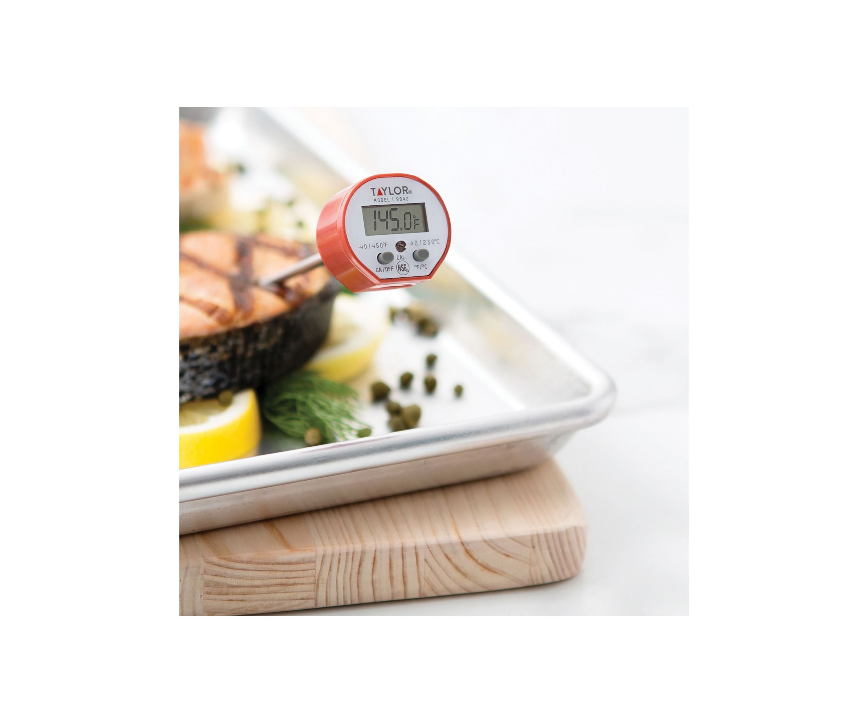 Waterproof Digital Instant Read Thermometer