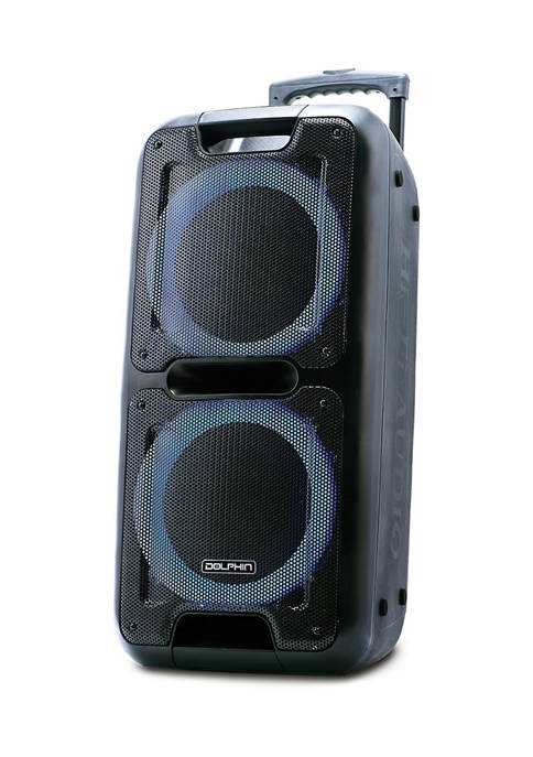 Dolphin Audio 10-Inch Dual Rechargeable Party Speaker