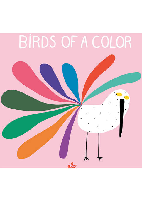 Penguin Random House Birds of a Color Book