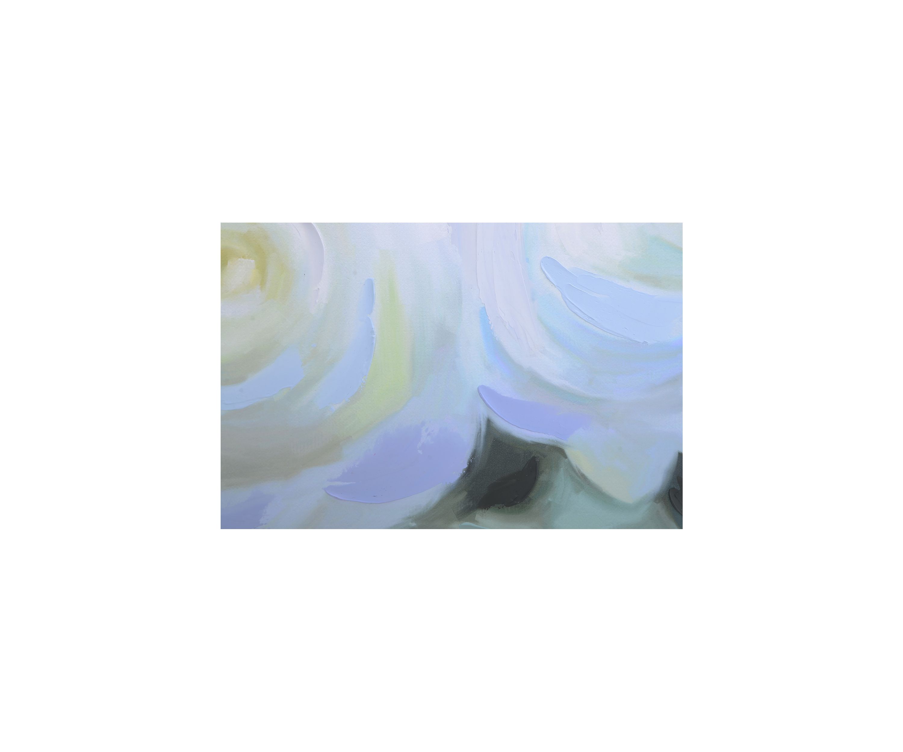 White Rose Wall Art