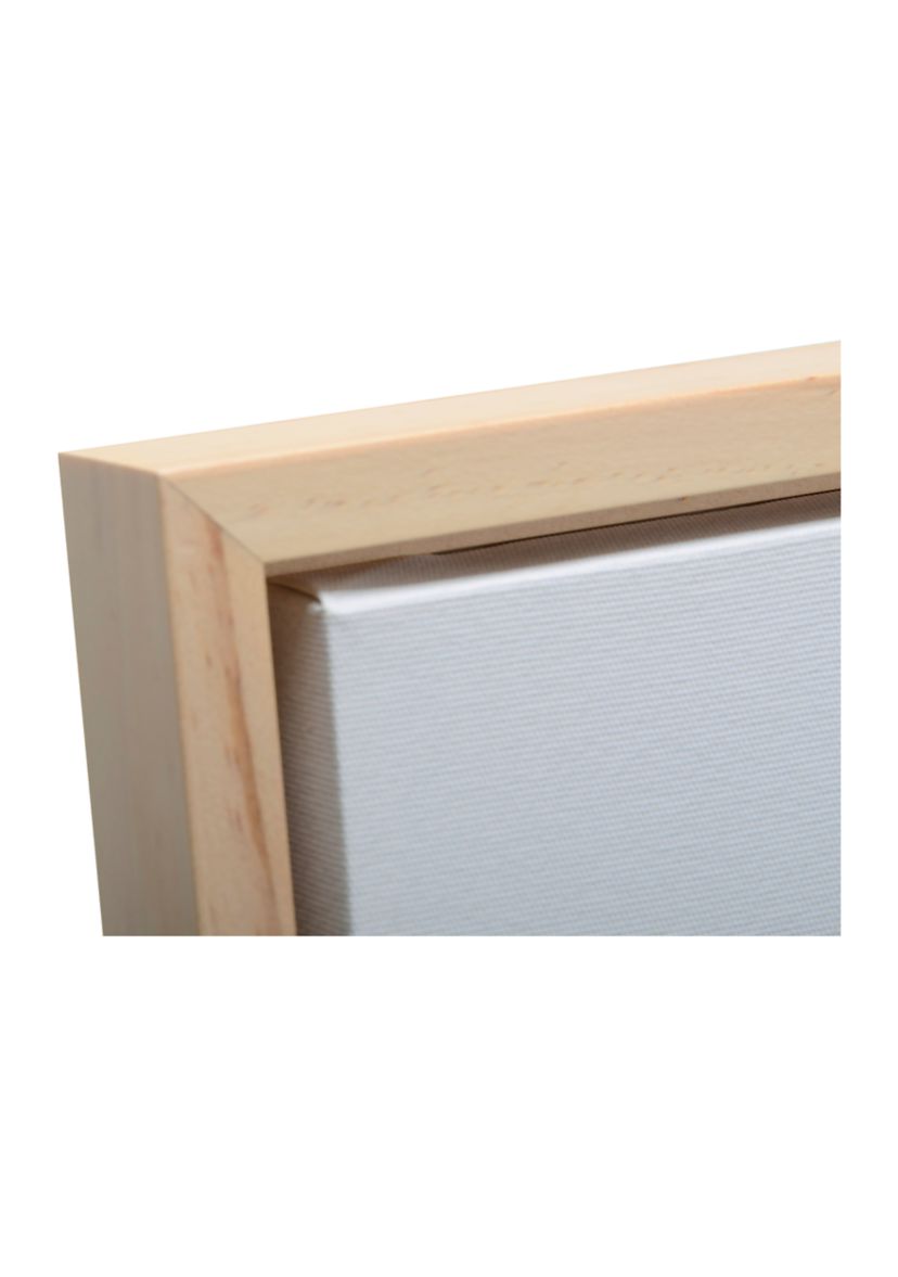 Butterfly Floral Wall Art