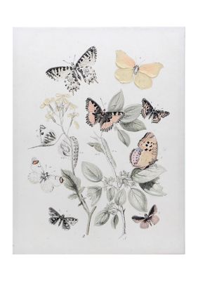 Butterfly Canvas Wall Art