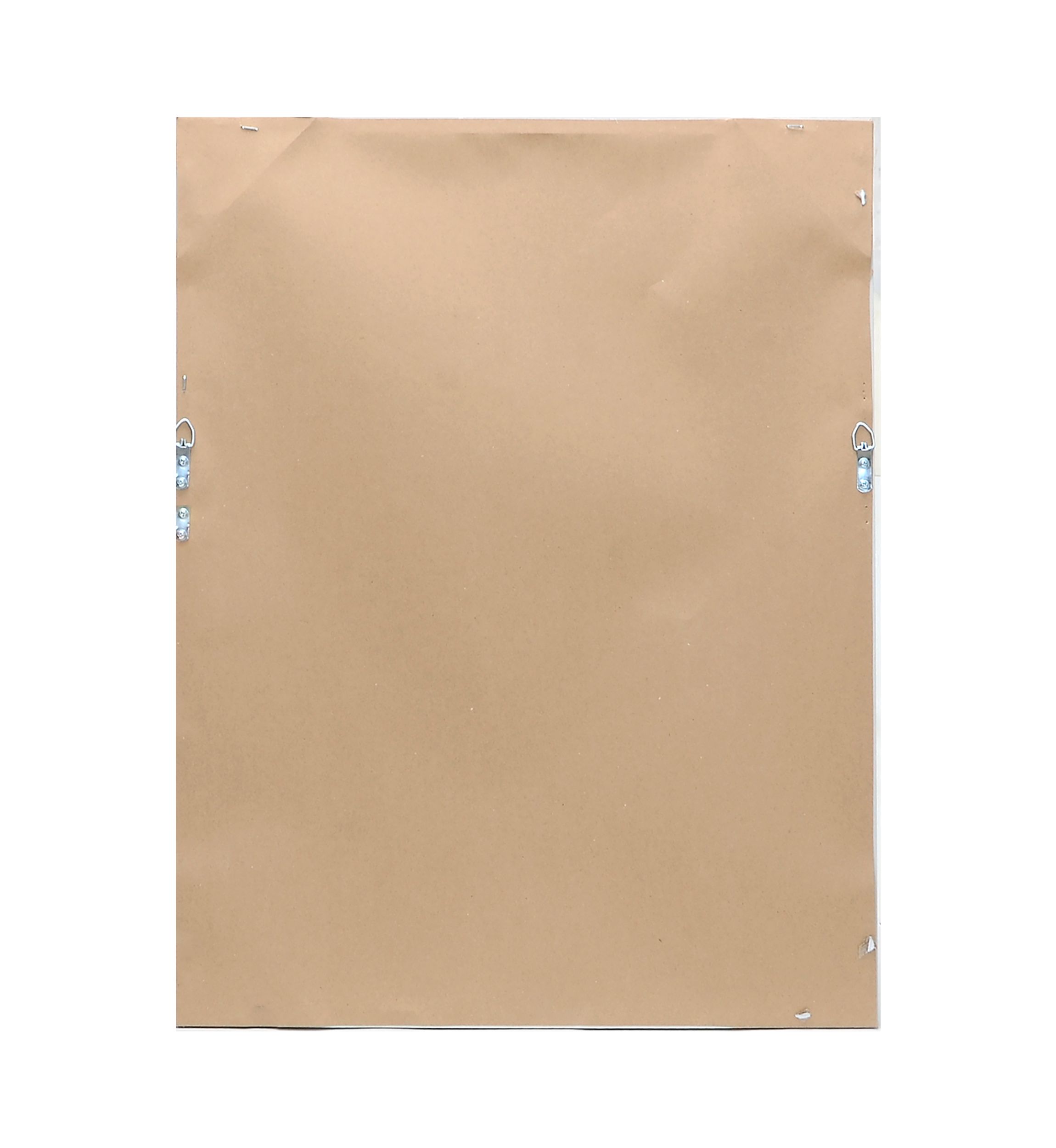 Muted Botanical Canvas Wall Art