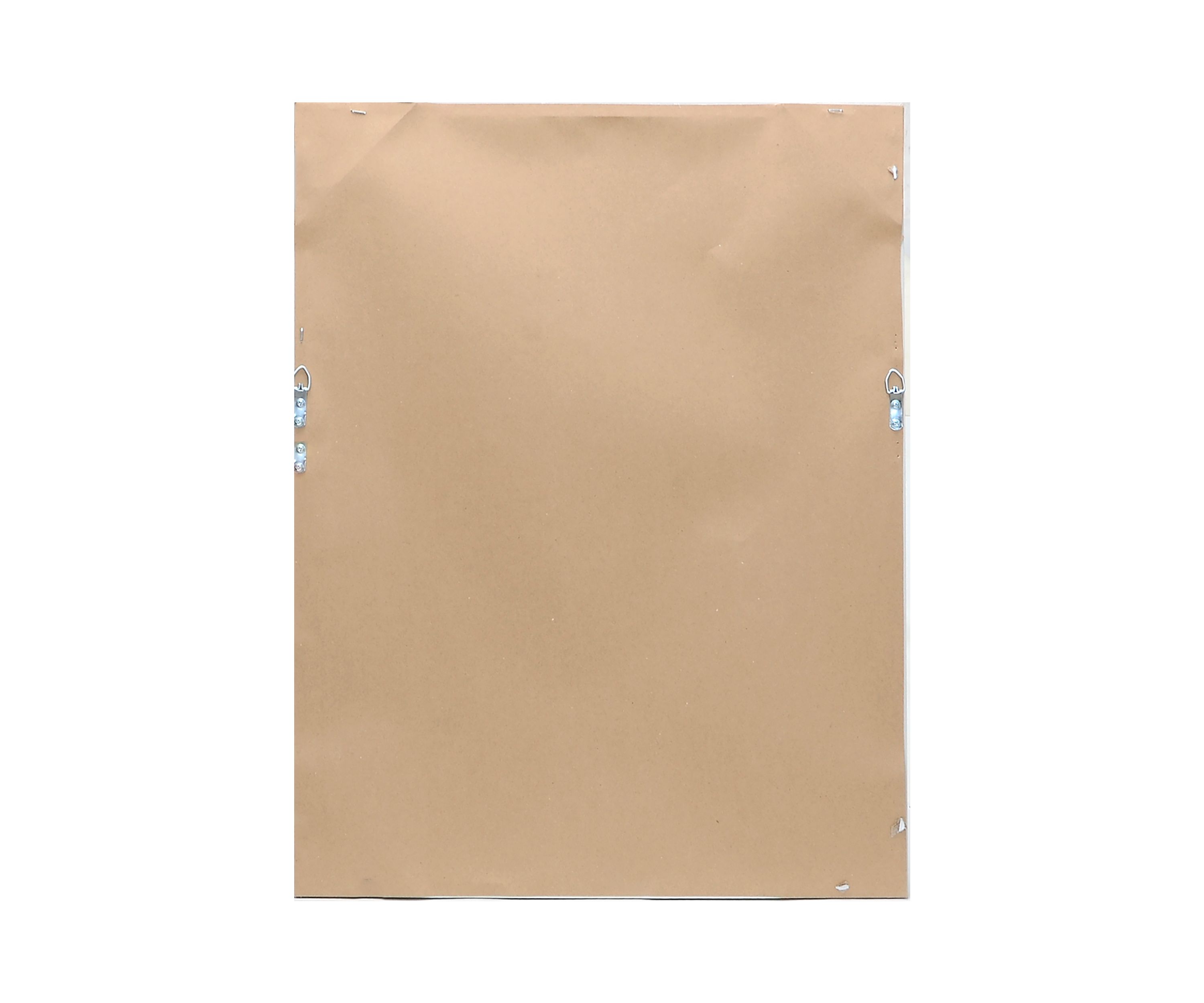 Muted Botanical Canvas Wall Art
