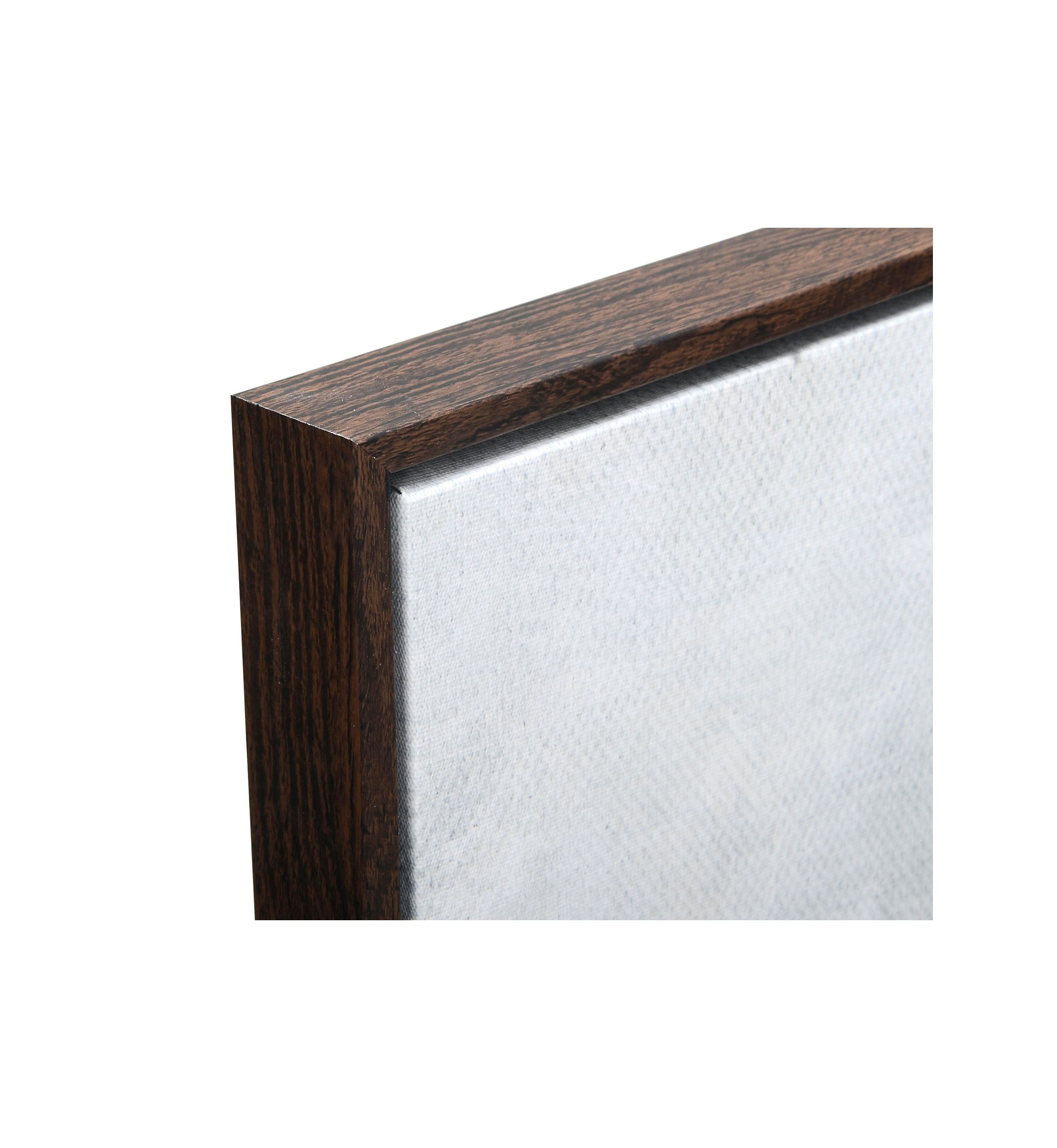Fall Trees Wall Art