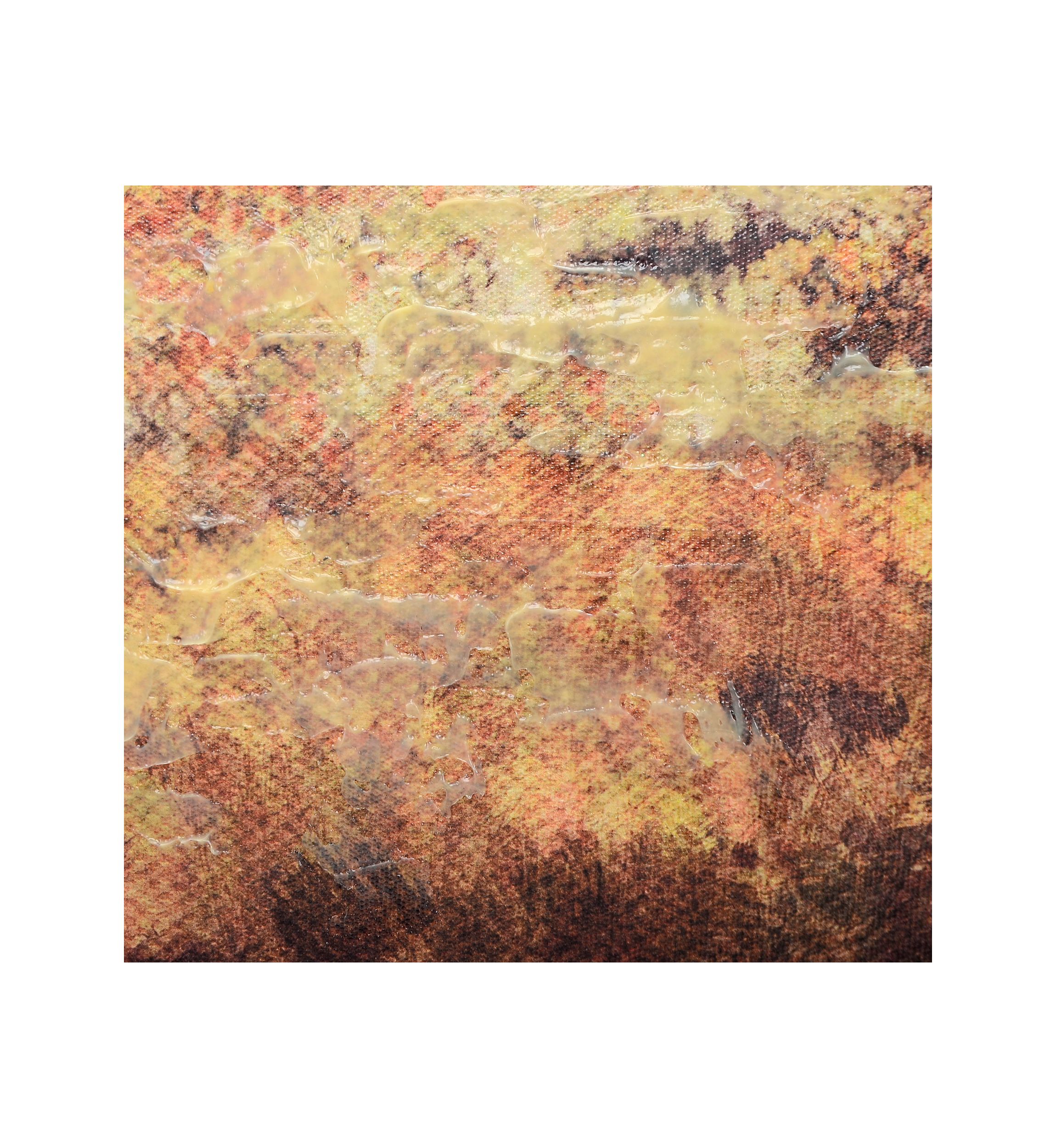 Fall Trees Wall Art