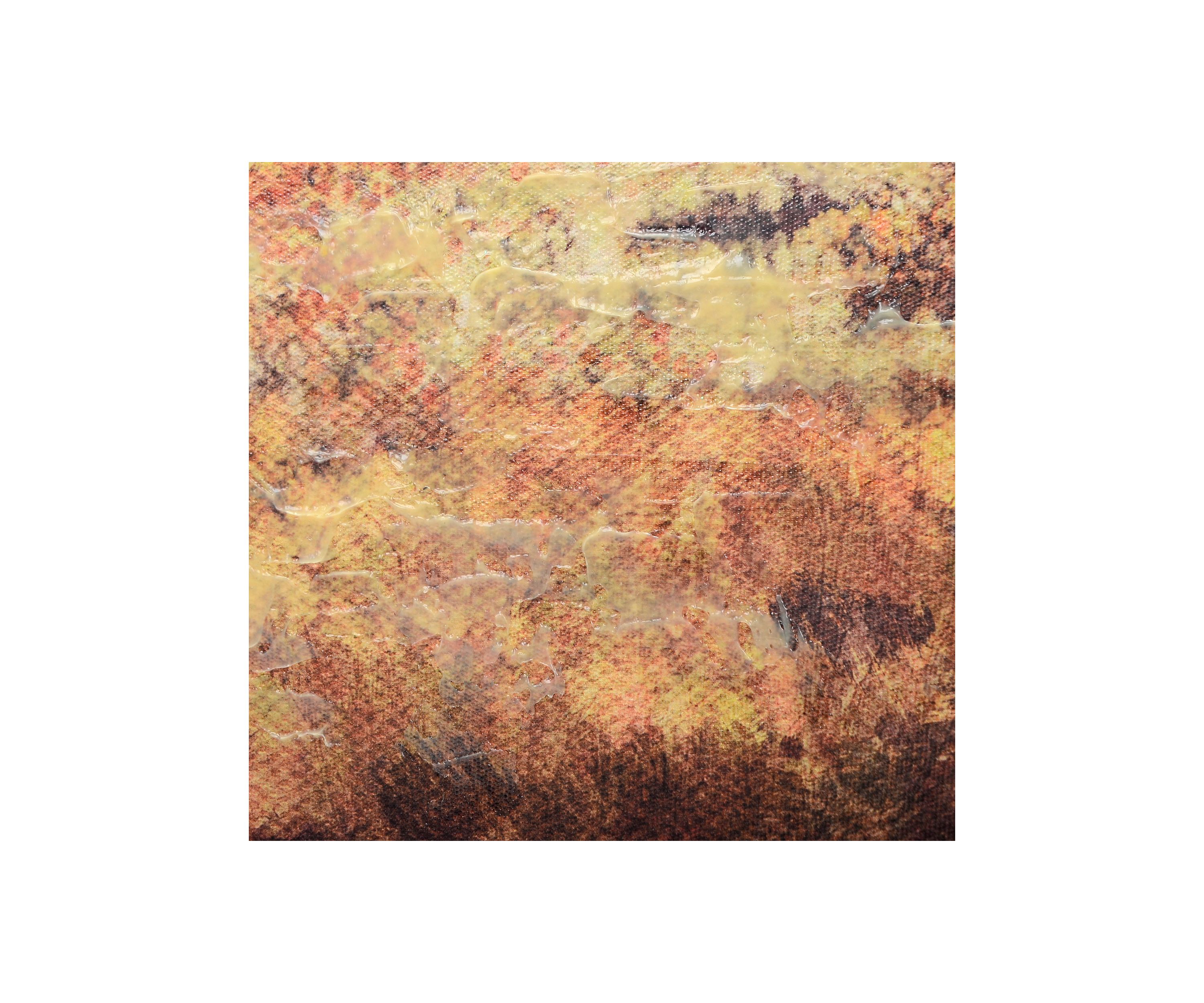 Fall Trees Wall Art