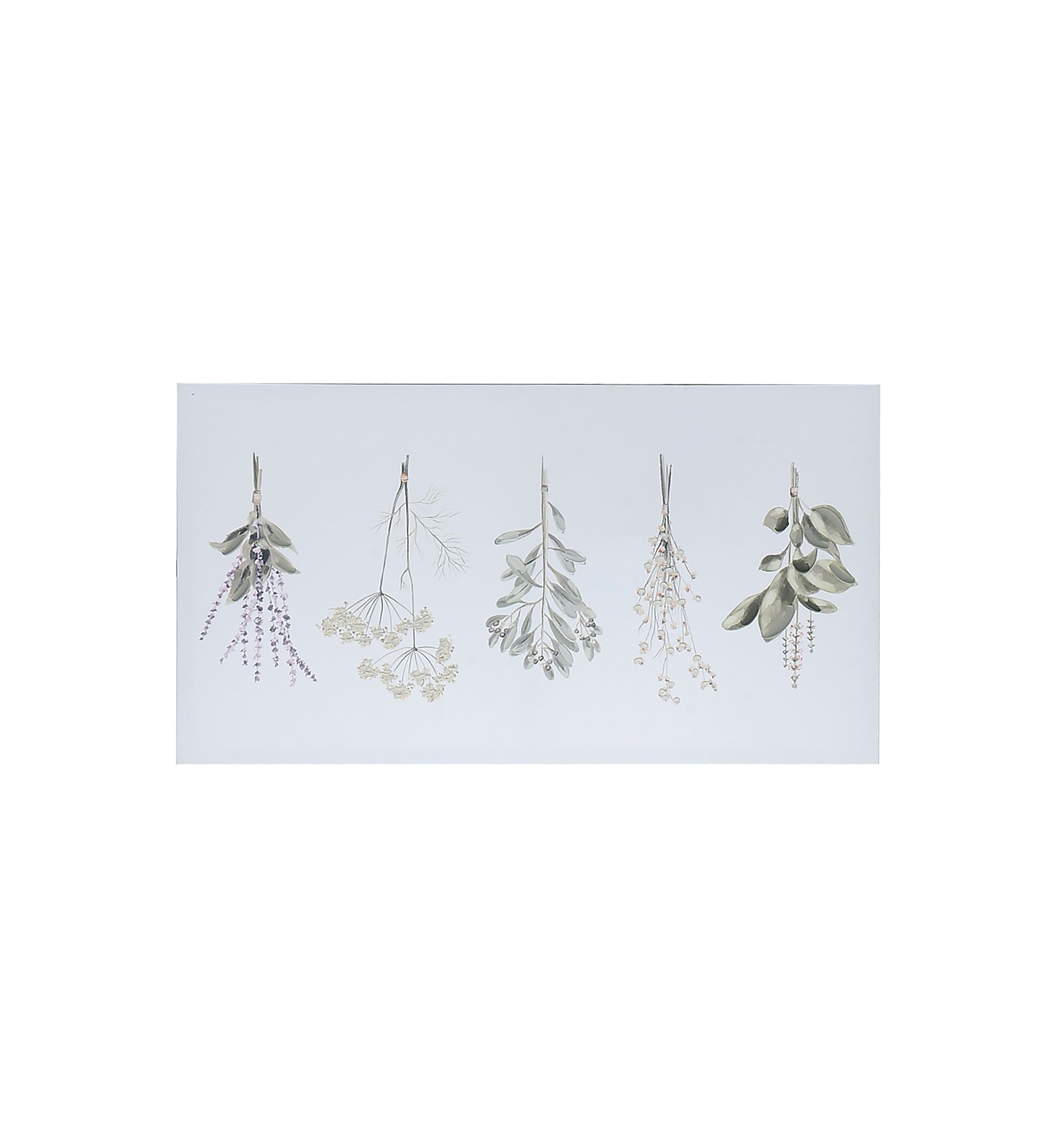 Herbs Wall Canvas Art