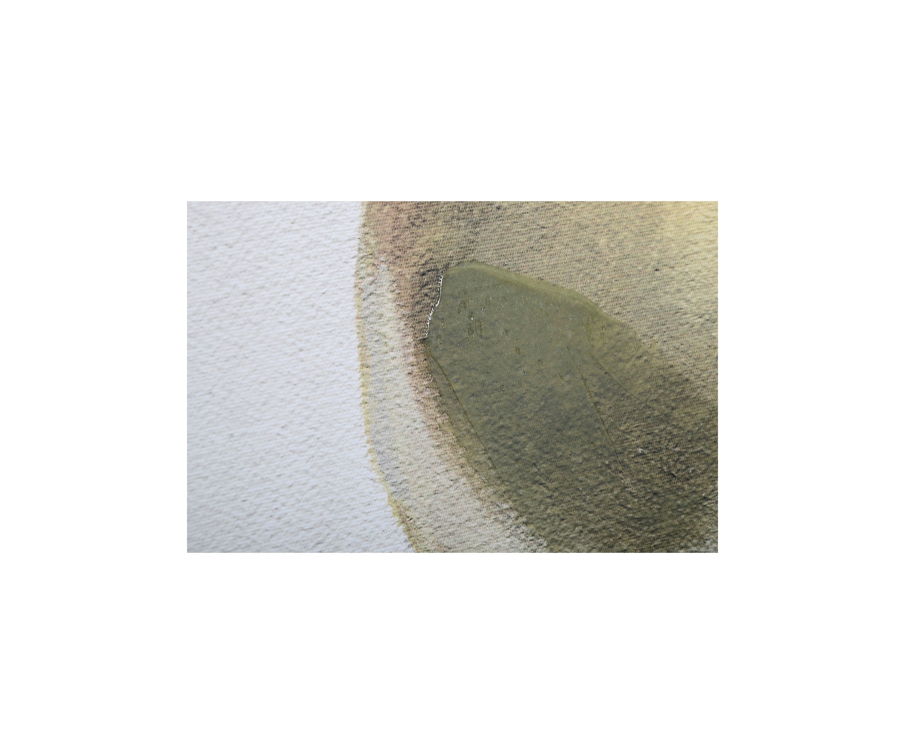 Green Pear Wall Art 