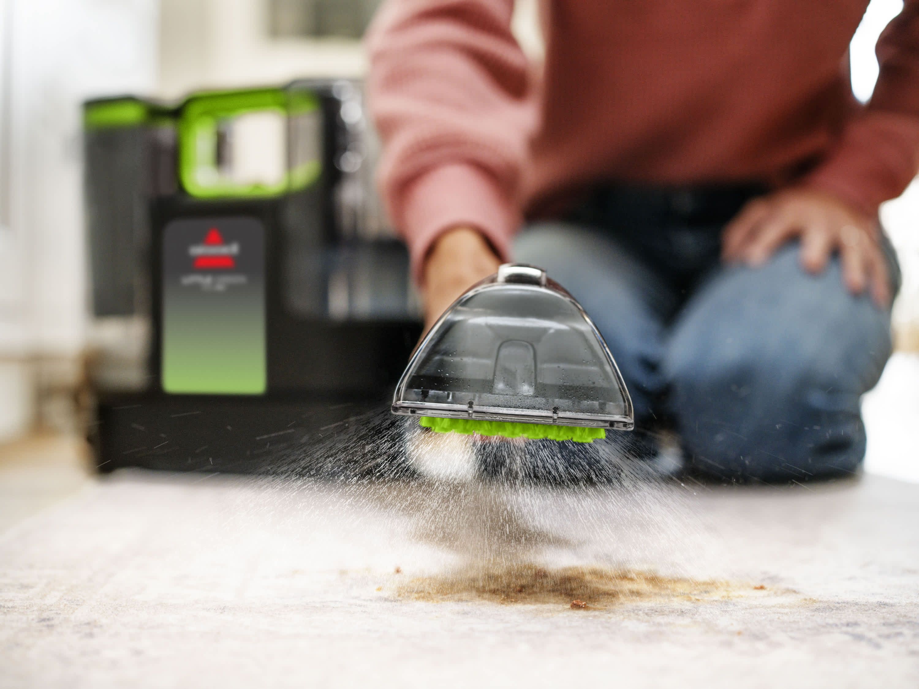 Little Green Max Pet Portable Carpet Cleaner