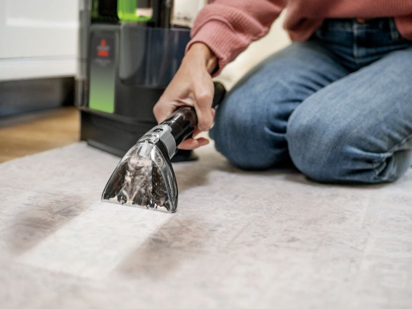 Little Green Max Pet Portable Carpet Cleaner