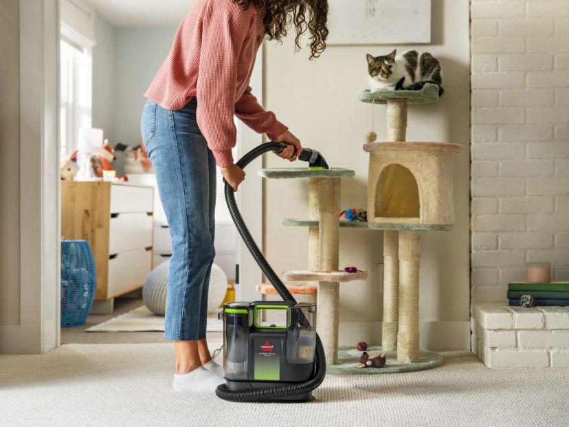 Little Green Max Pet Portable Carpet Cleaner