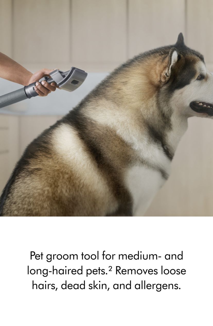 Dyson Ball Animal 3 Upright Vacuum