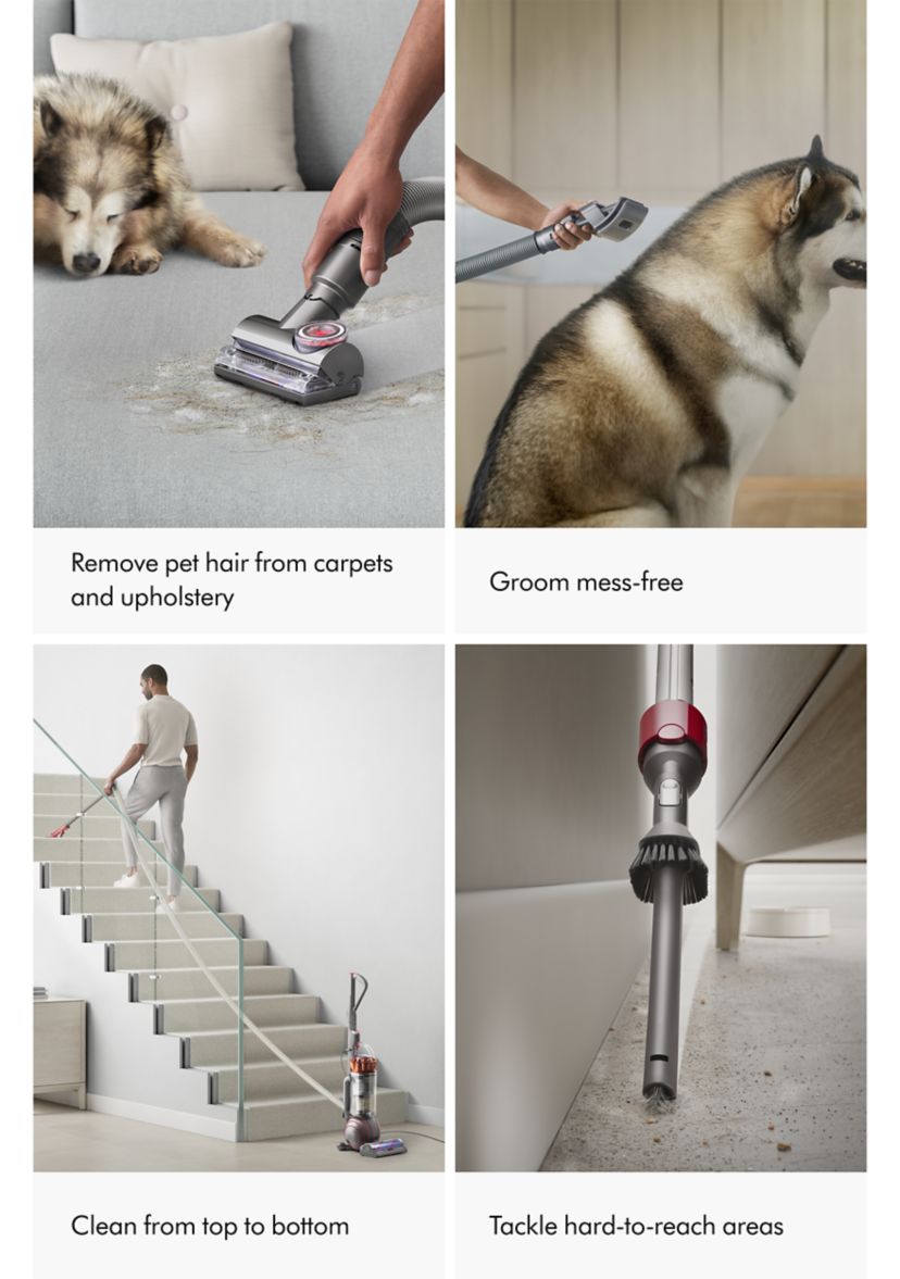 Dyson Ball Animal 3 Upright Vacuum
