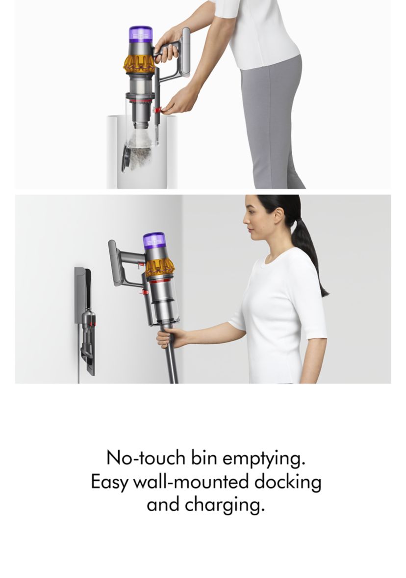 Dyson Dyson V15 Detect | Belk