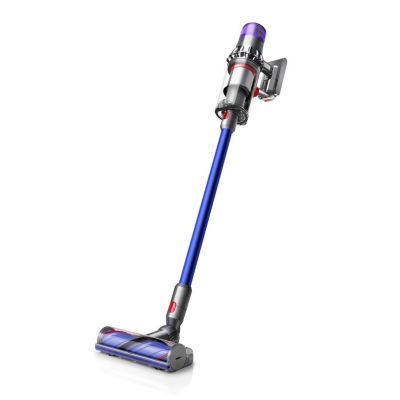 Dyson V11