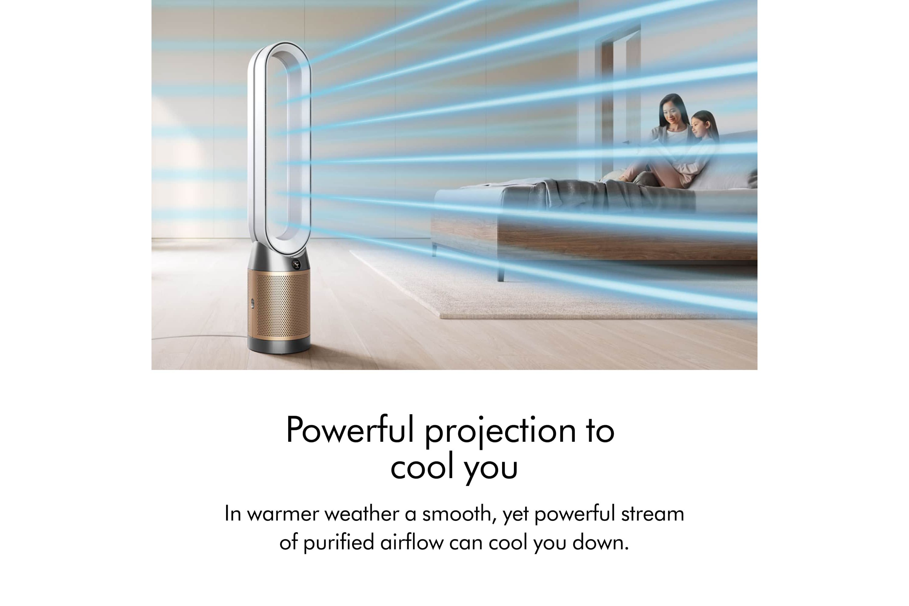 Purifier Cool De-Nox PC2 White/Gold
