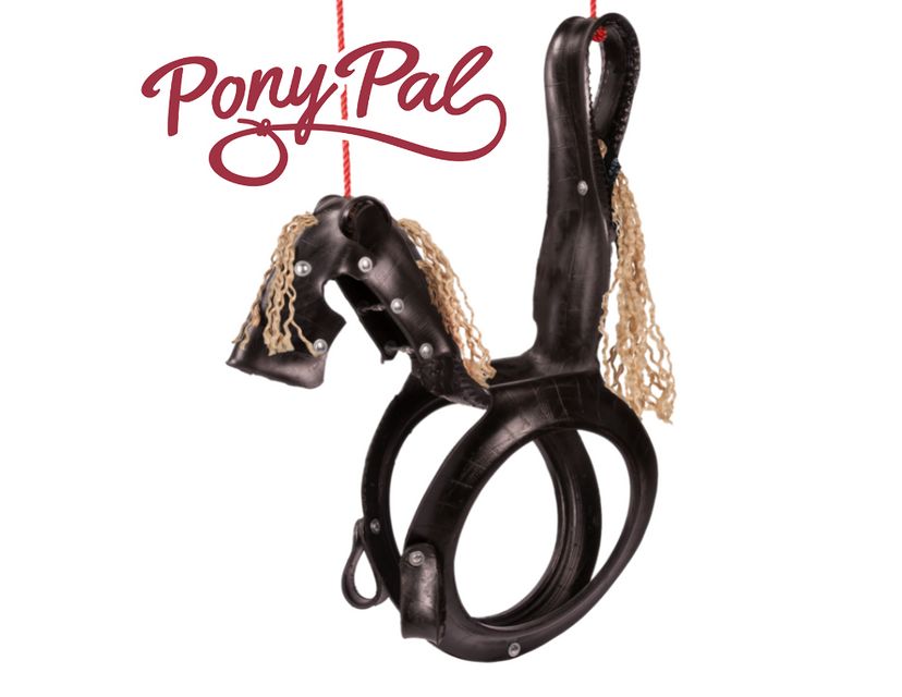 Pony Pal Tire Swing