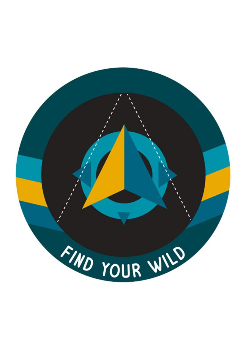 Adventure Find Your Wild Swing