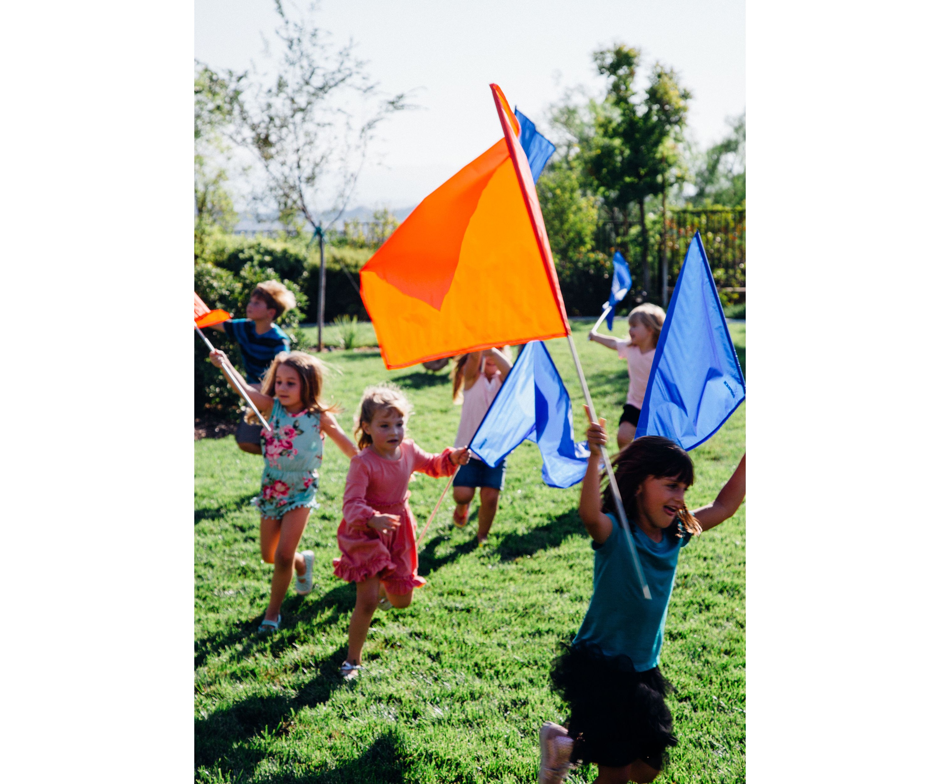 12 Piece Flag Set