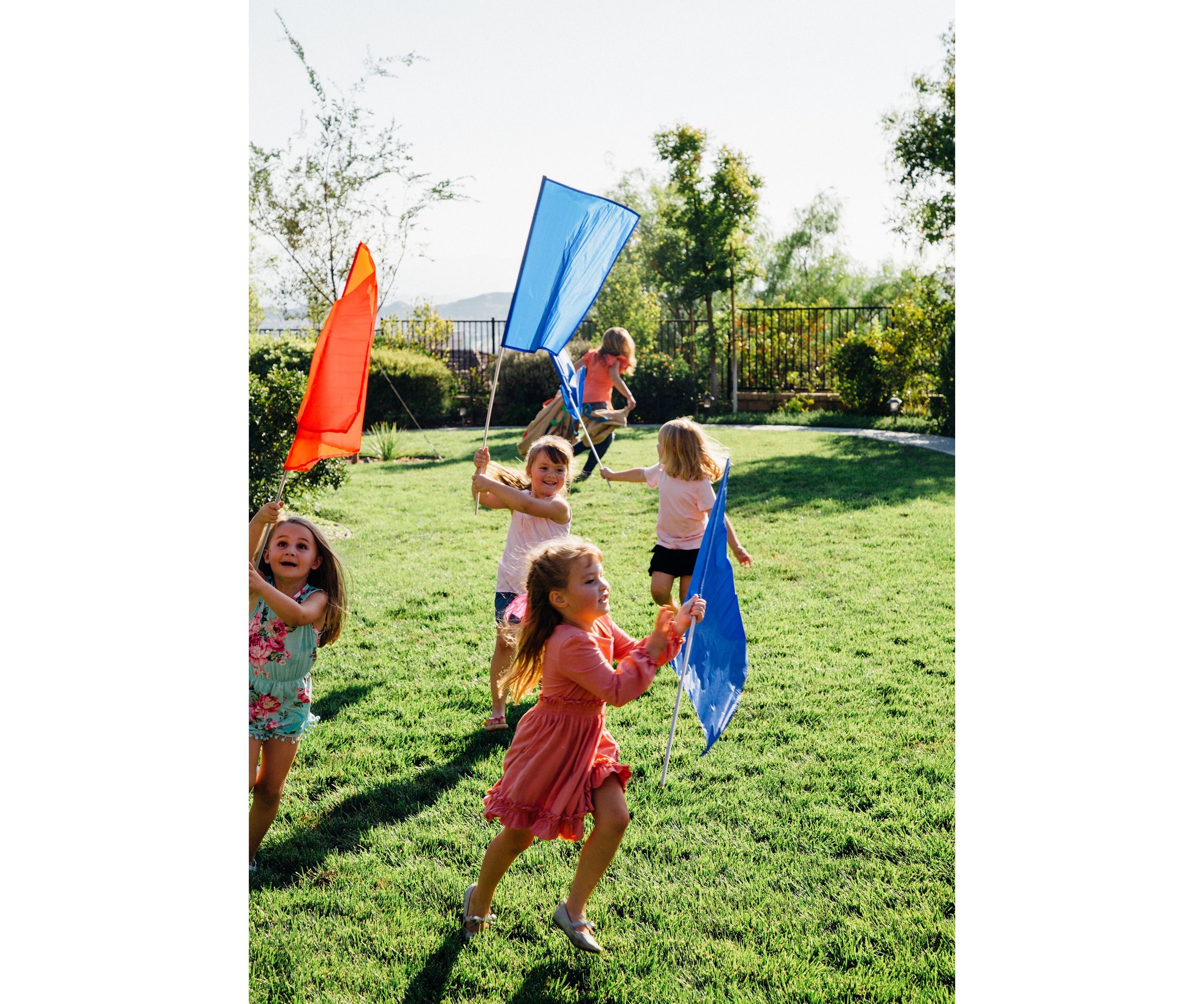 12 Piece Flag Set