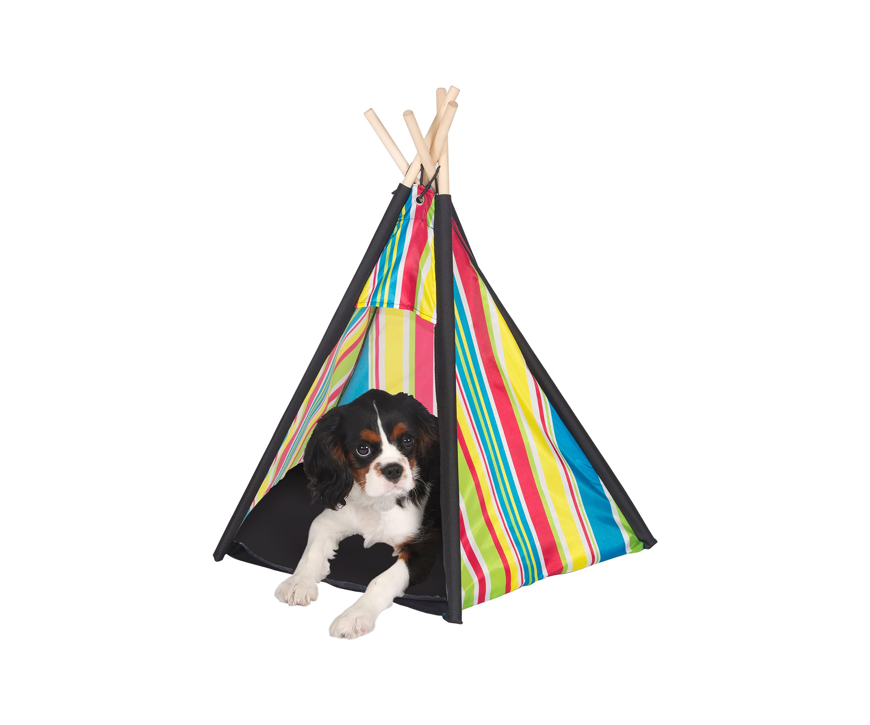 Cozy Pet Teepee