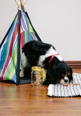 Cozy Pet Teepee