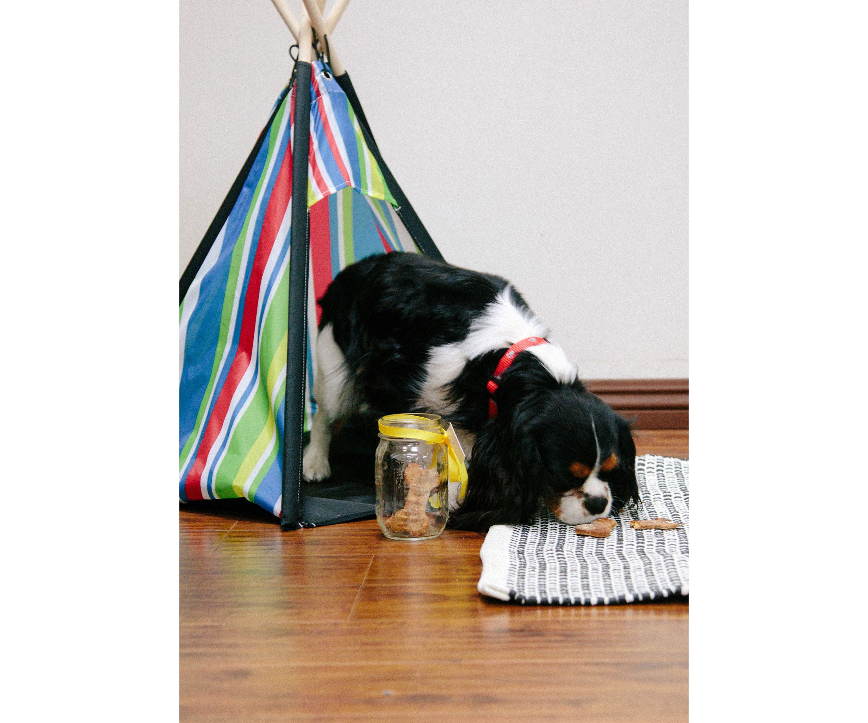 Cozy Pet Teepee