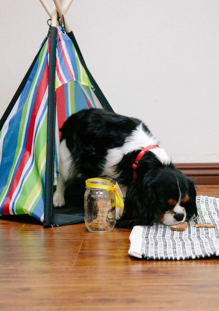 Cozy Pet Teepee