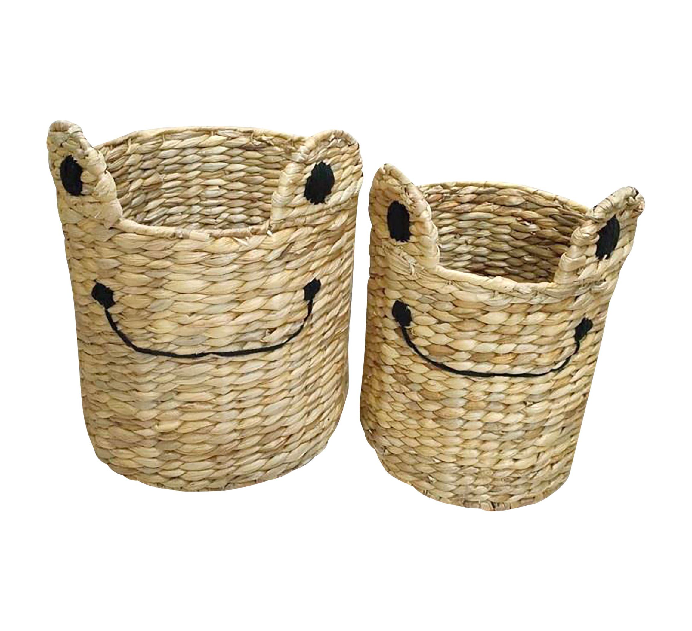 Set of 2 frog bins