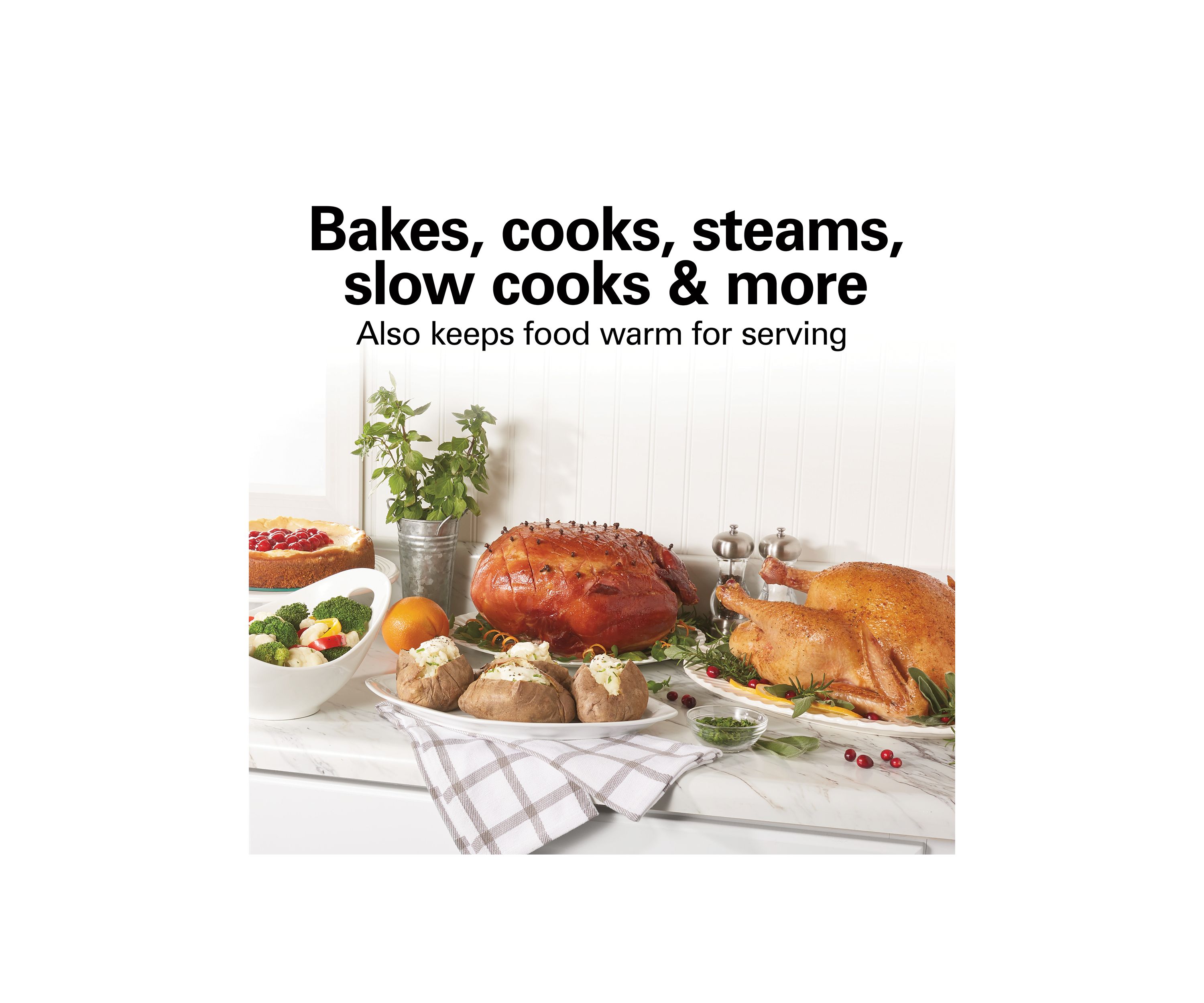 Electric Roaster Oven