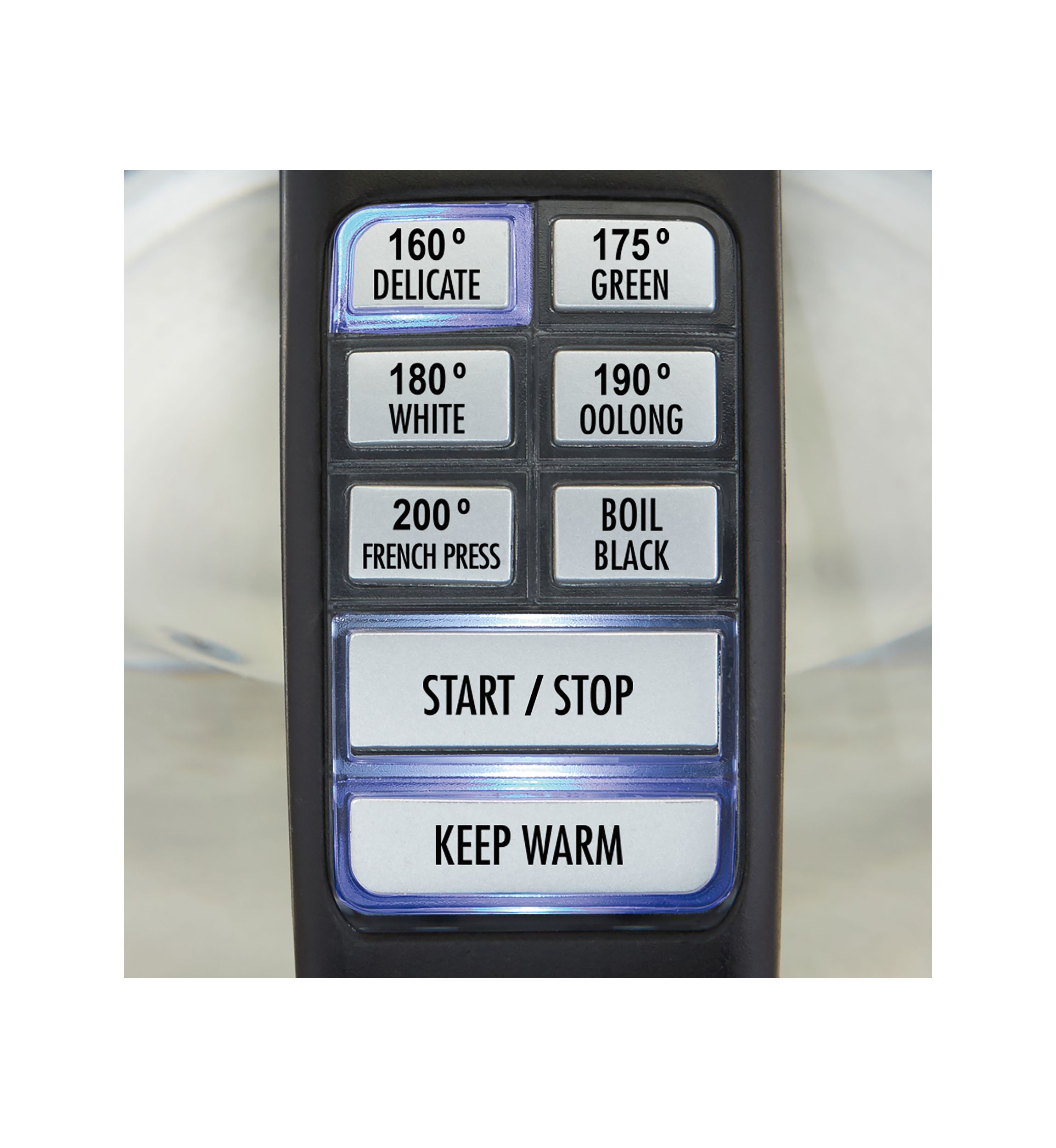 1.7 Liter Variable Temperature Electric Kettle