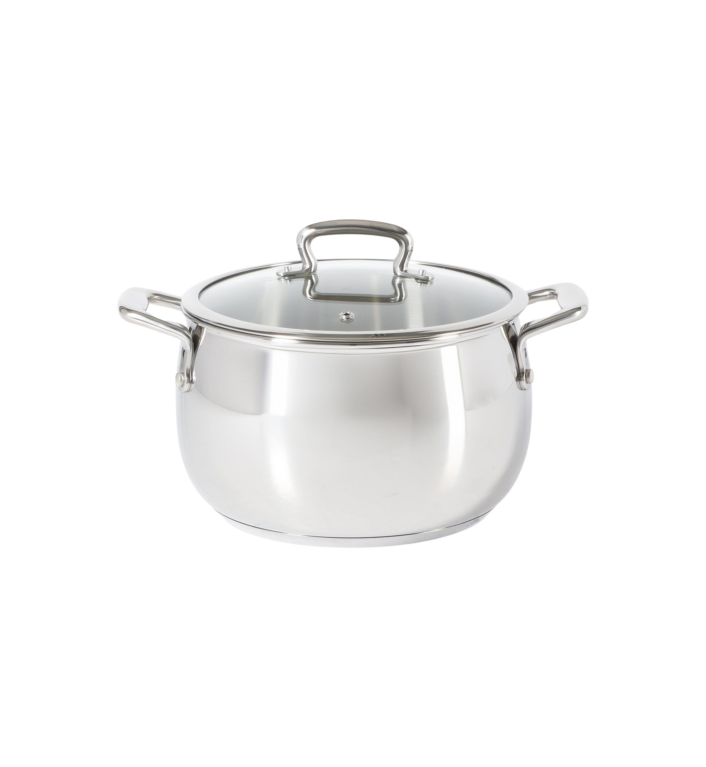 6 Quart Stainless Steel Dutch Oven with Glass Lid 