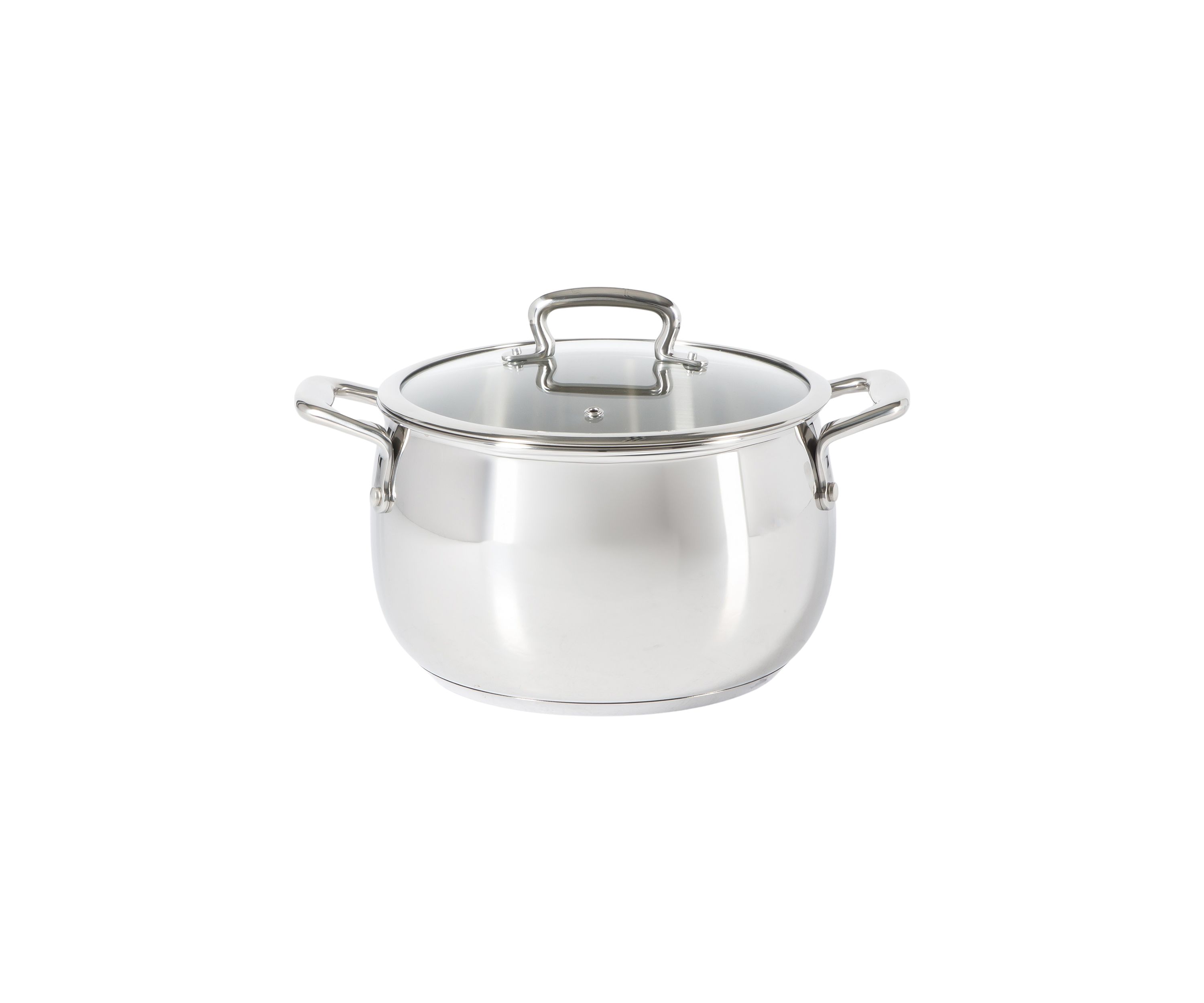 6 Quart Stainless Steel Dutch Oven with Glass Lid 