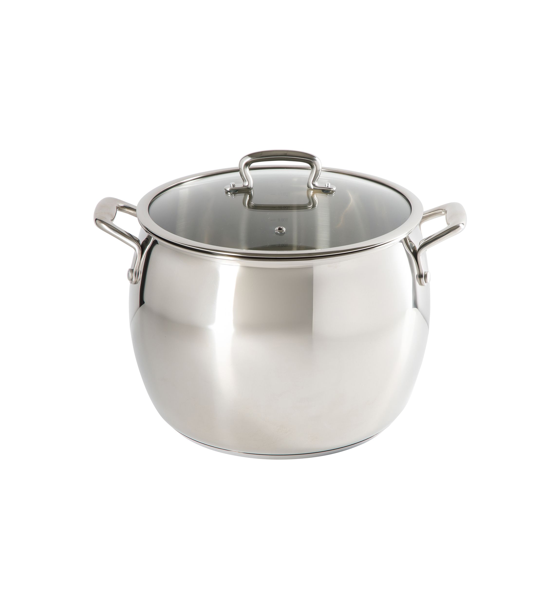 12 Quart Stainless Steel Stock Pot with Glass Lid
