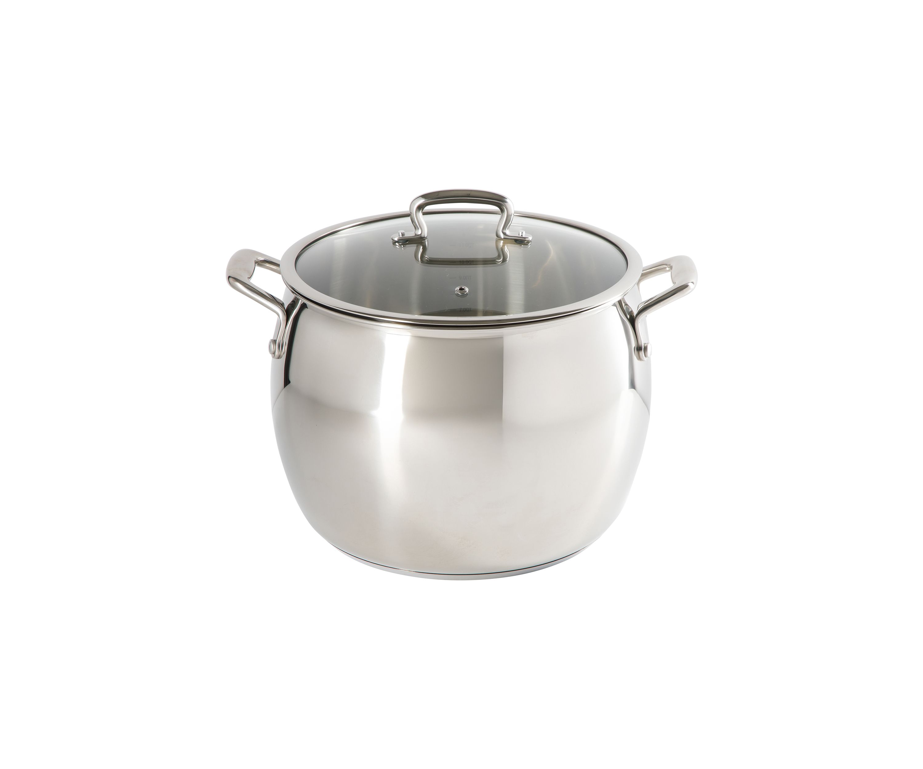 12 Quart Stainless Steel Stock Pot with Glass Lid